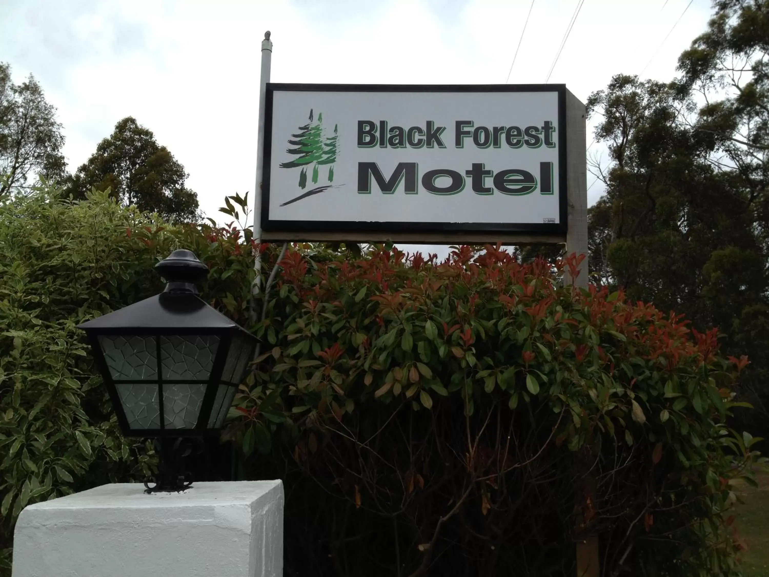 Day in Black Forest Motel