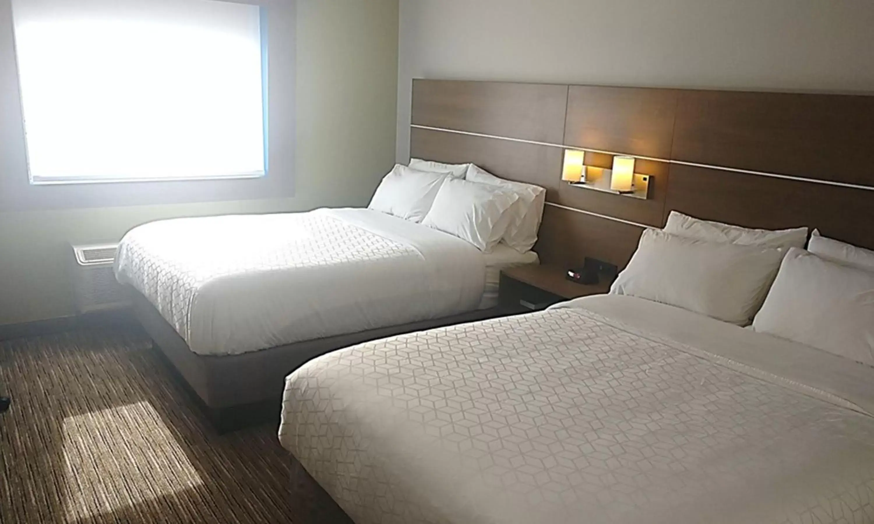 Photo of the whole room, Room Photo in Holiday Inn Express Murrysville - Delmont, an IHG Hotel