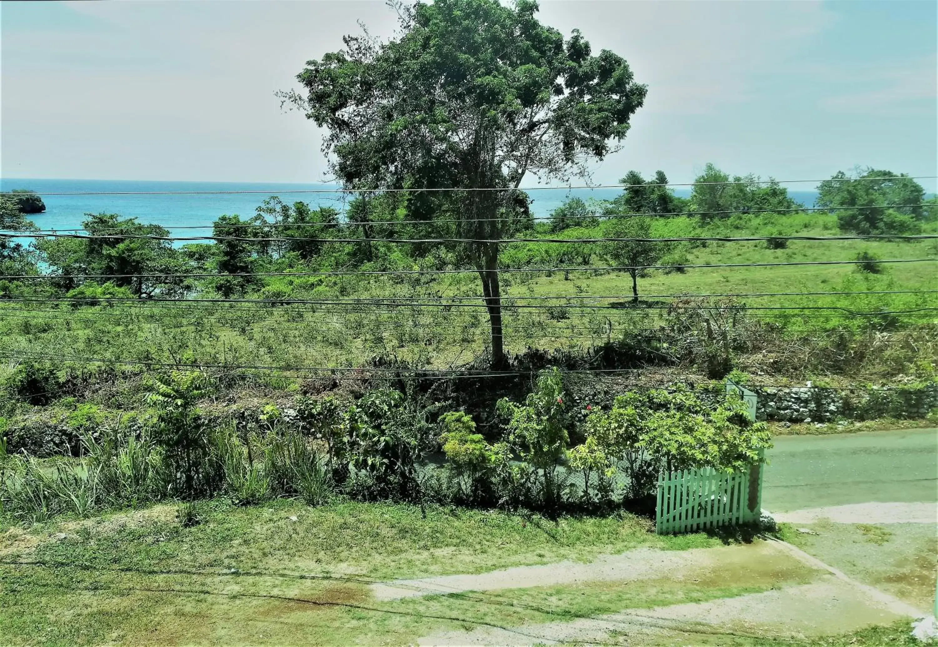 Garden in TOGA GUEST HOUSE