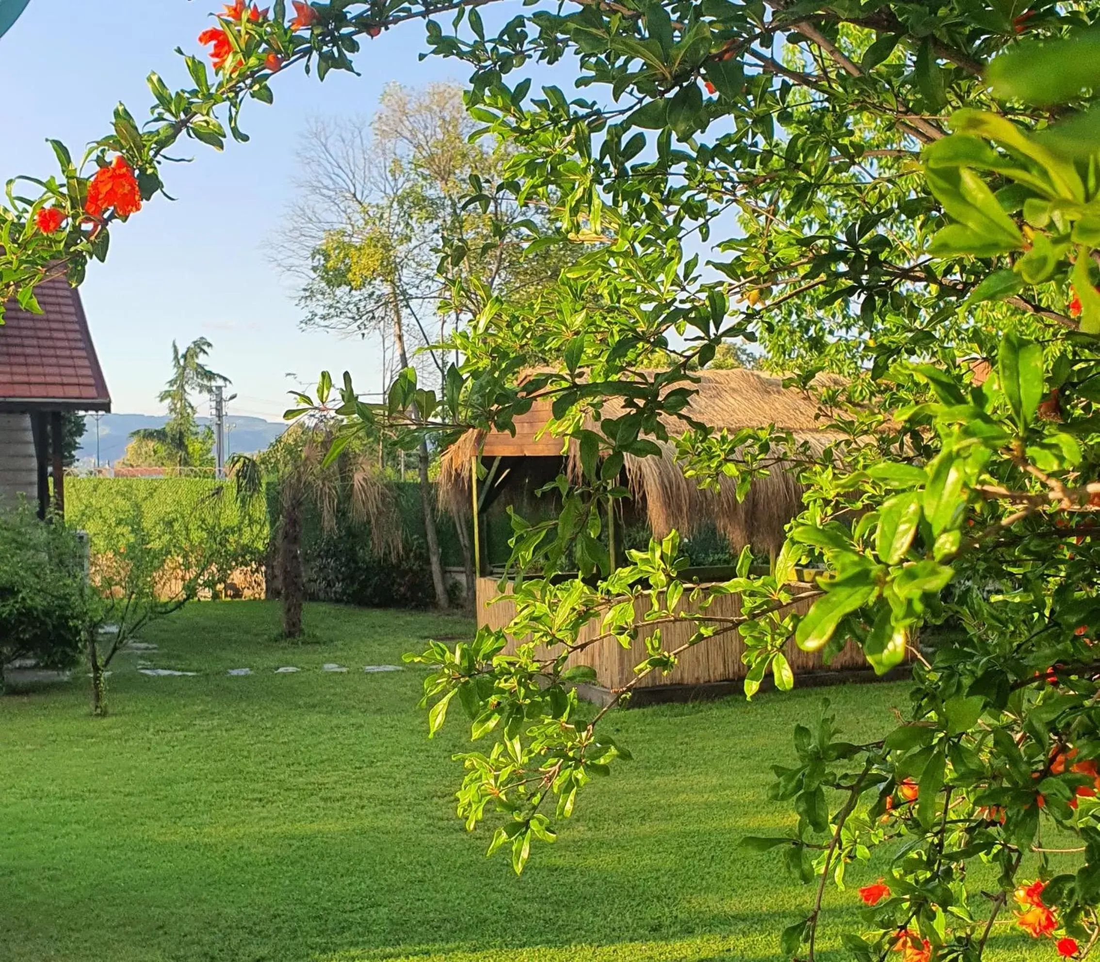 Garden view, Garden in Sapanca Aqua Wellness SPA Hotel & Aqua Park