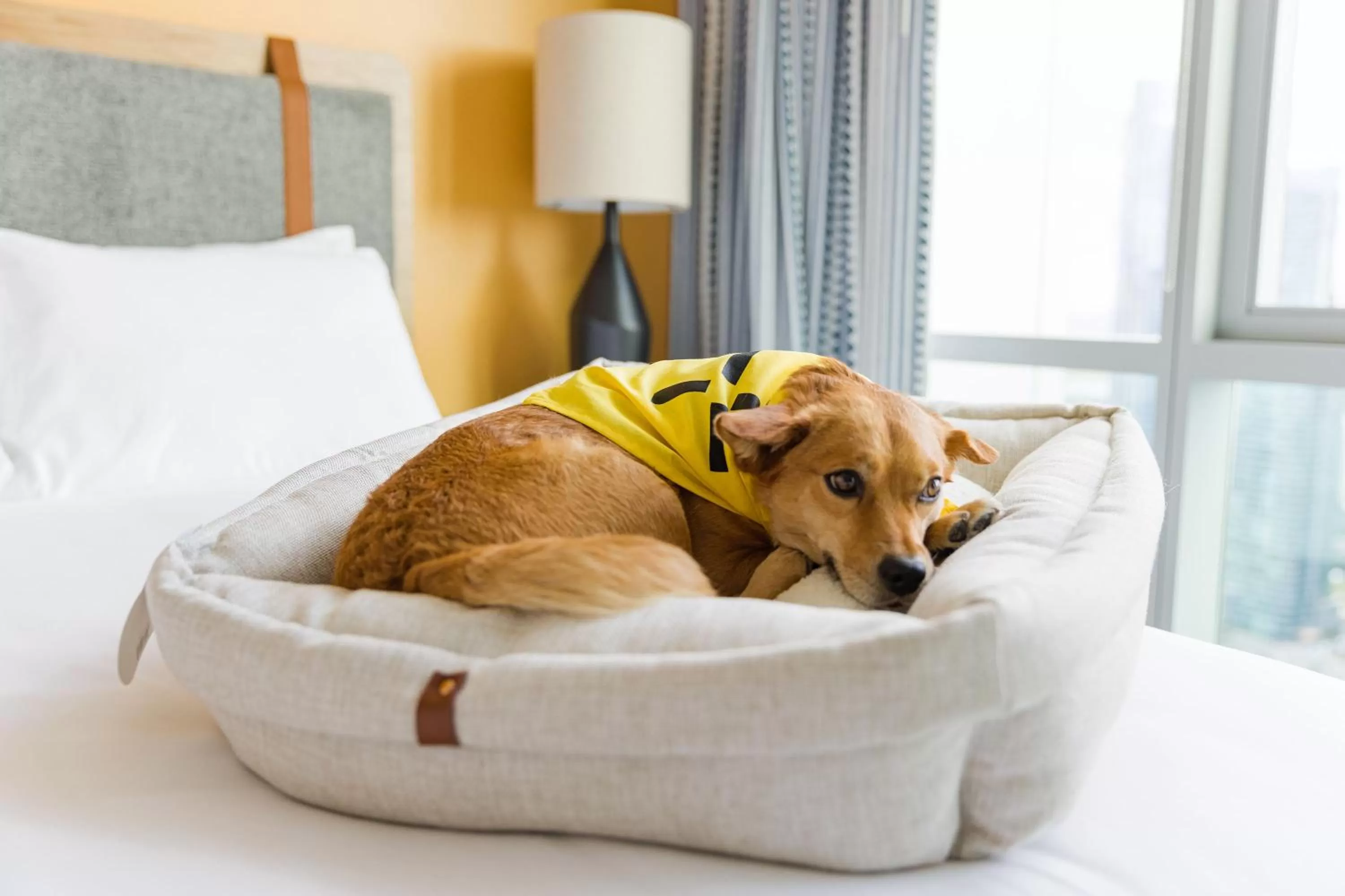 Pets, Bed in Sentral Wynwood