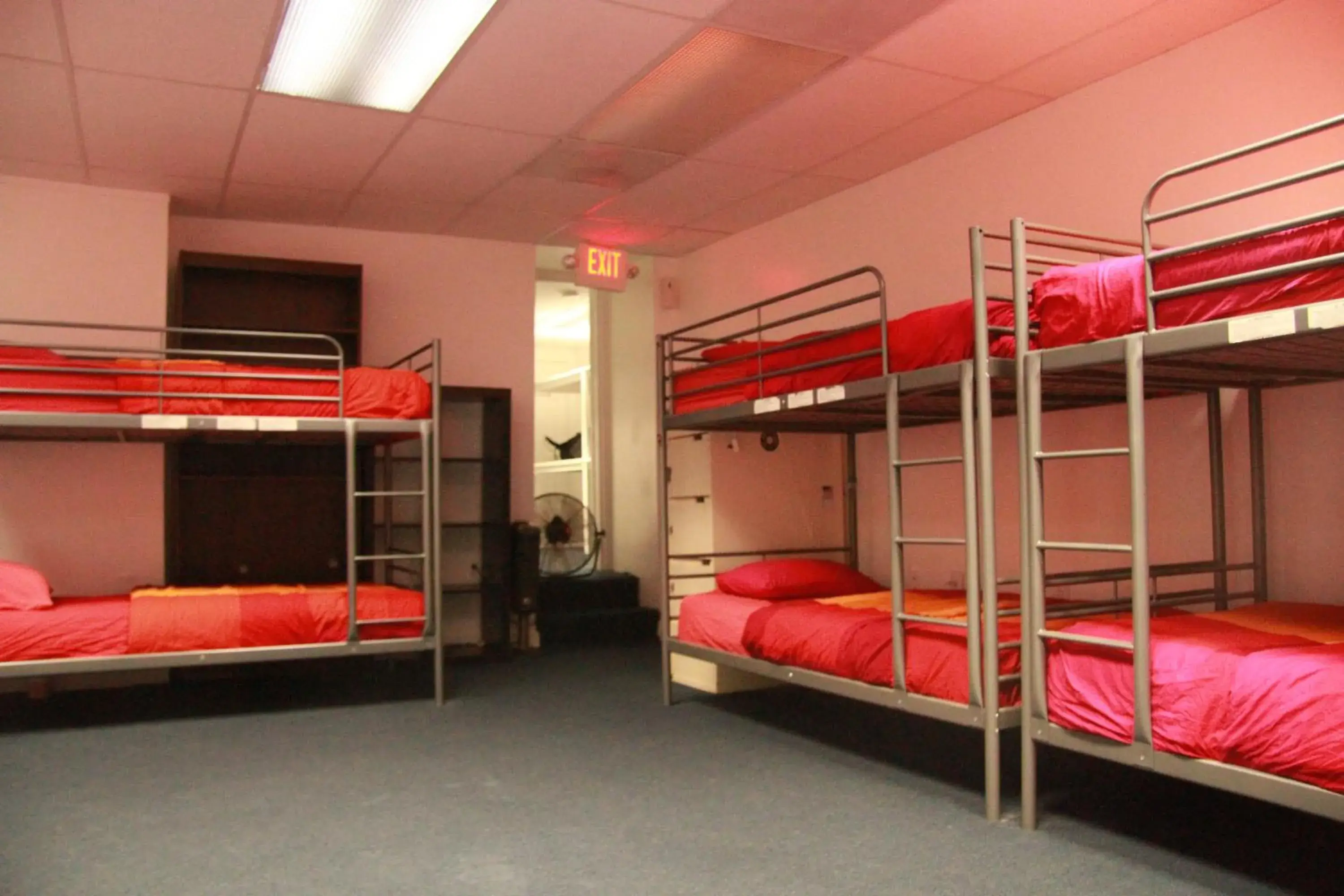 Bunk Bed in Duo Housing