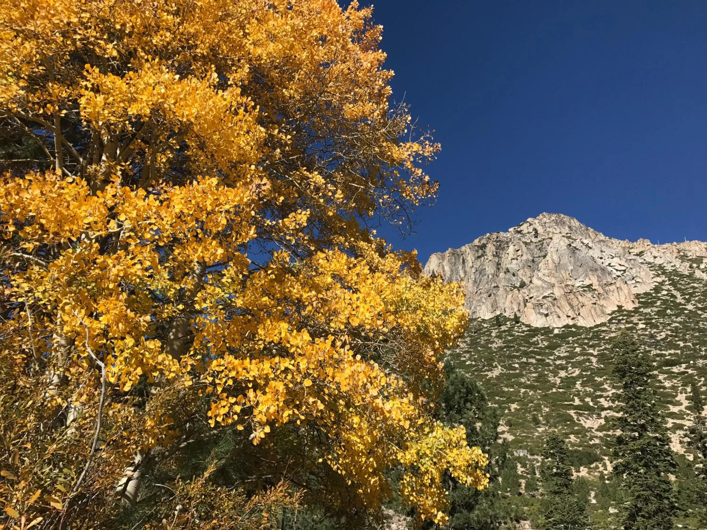 Other, Natural Landscape in Paradice Motel