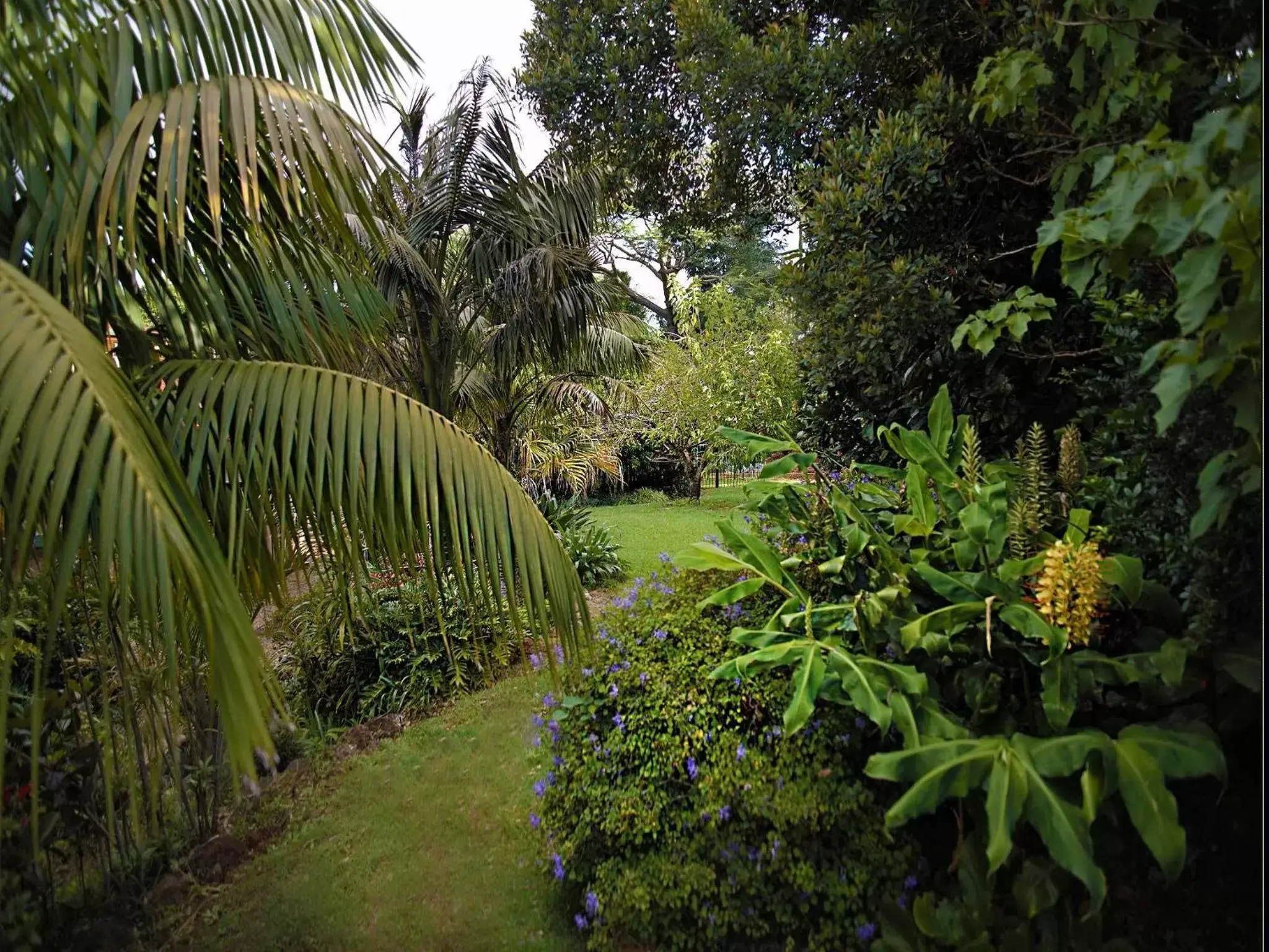 Garden in Mountain Sanctuary B&B