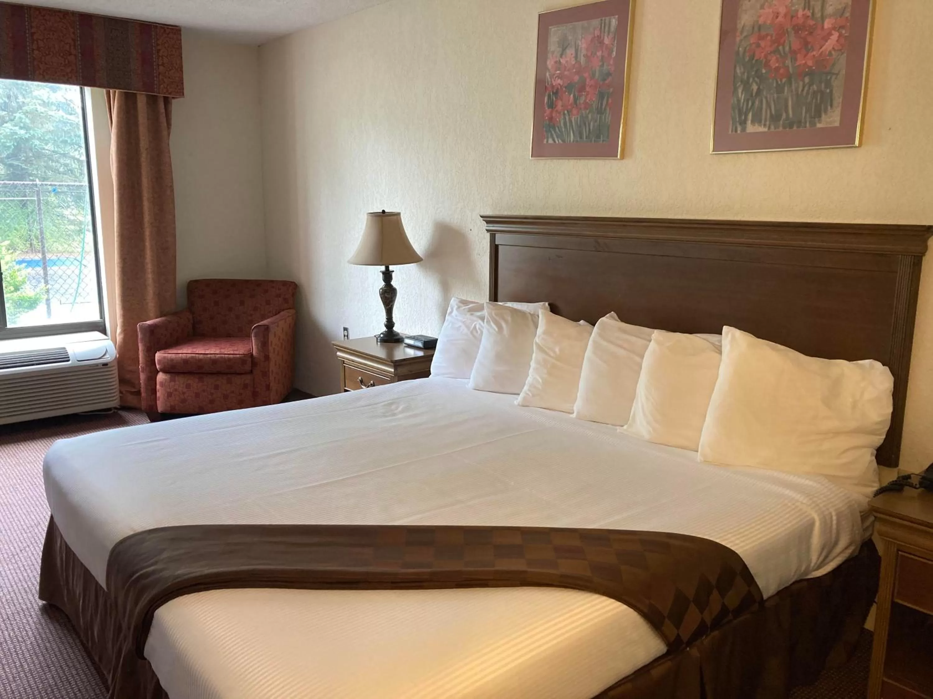 Bed in Americourt Hotel - Mountain City