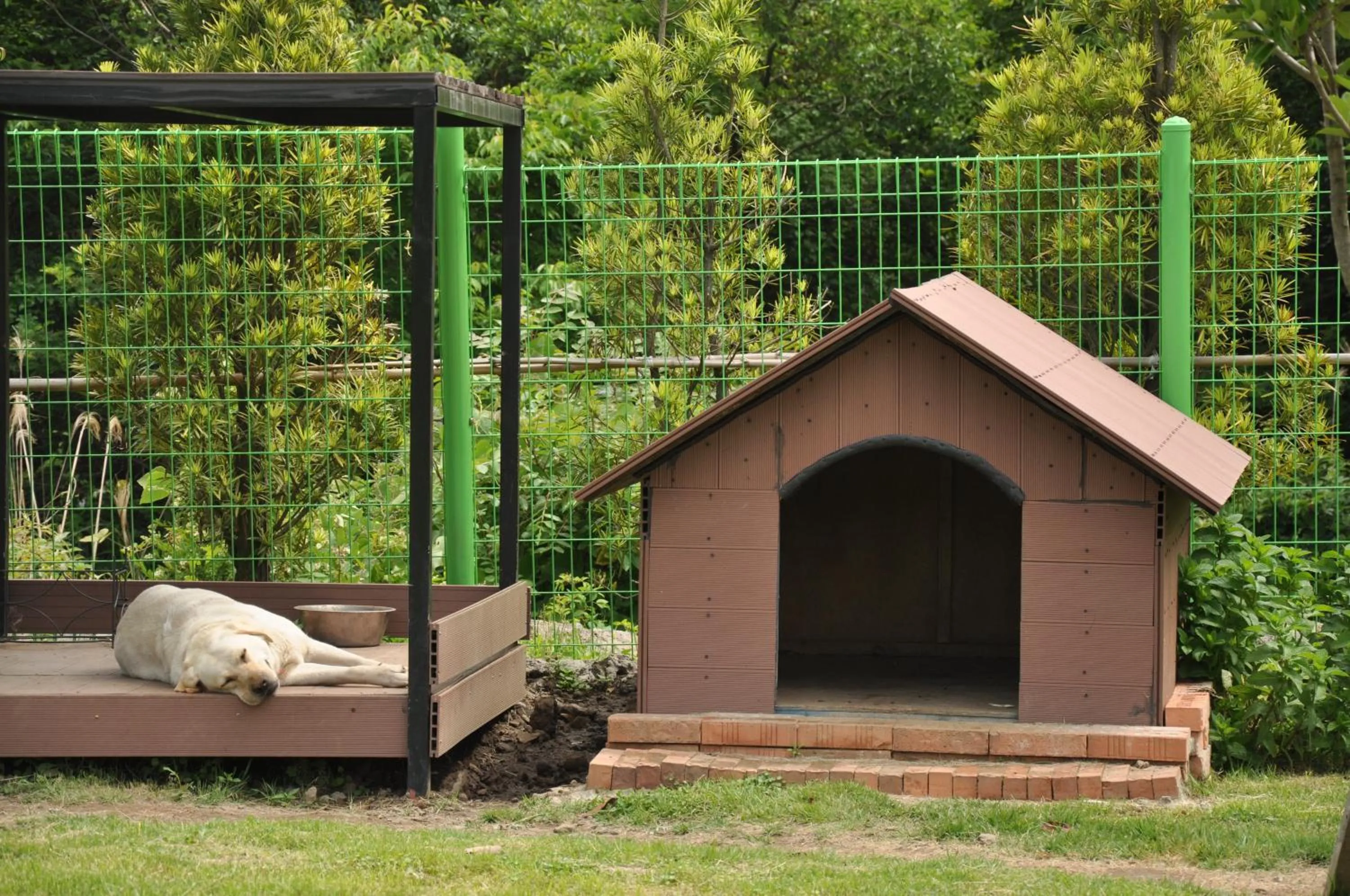 Natural landscape in Hotel Nanta Jeju