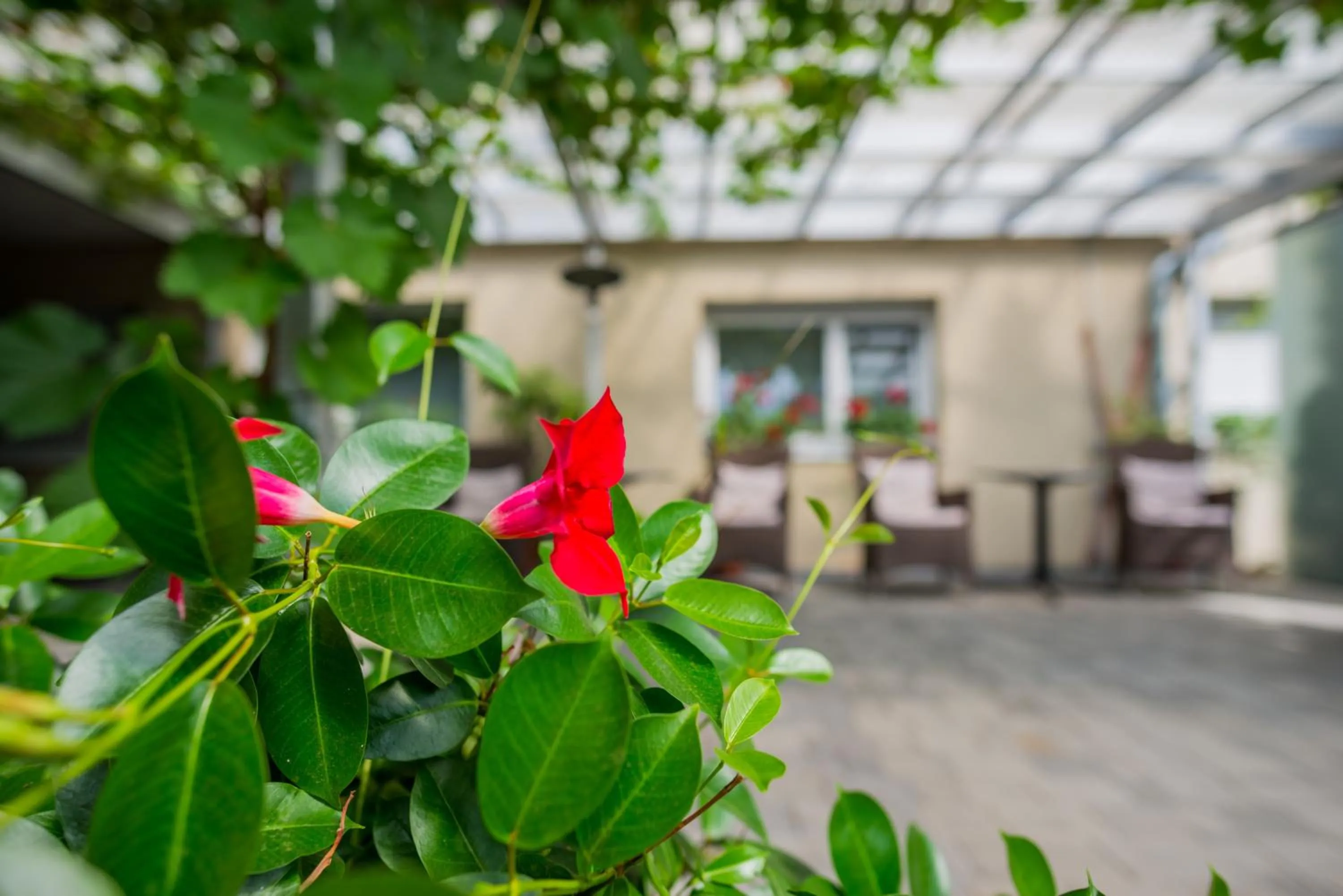 Decorative detail in Hotel Tabor Maribor