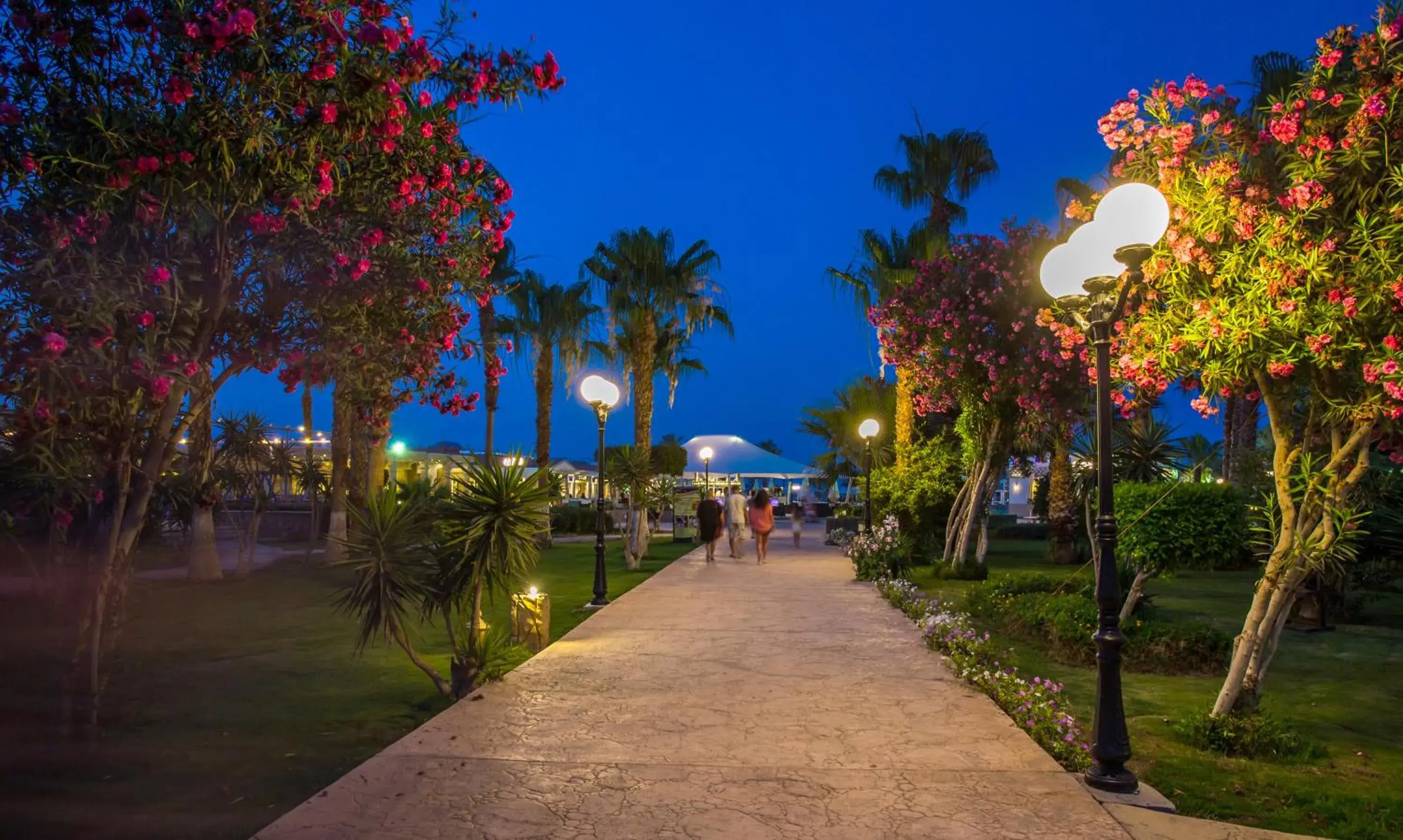 Night, Garden in Mirage Bay Resort & Aqua Park