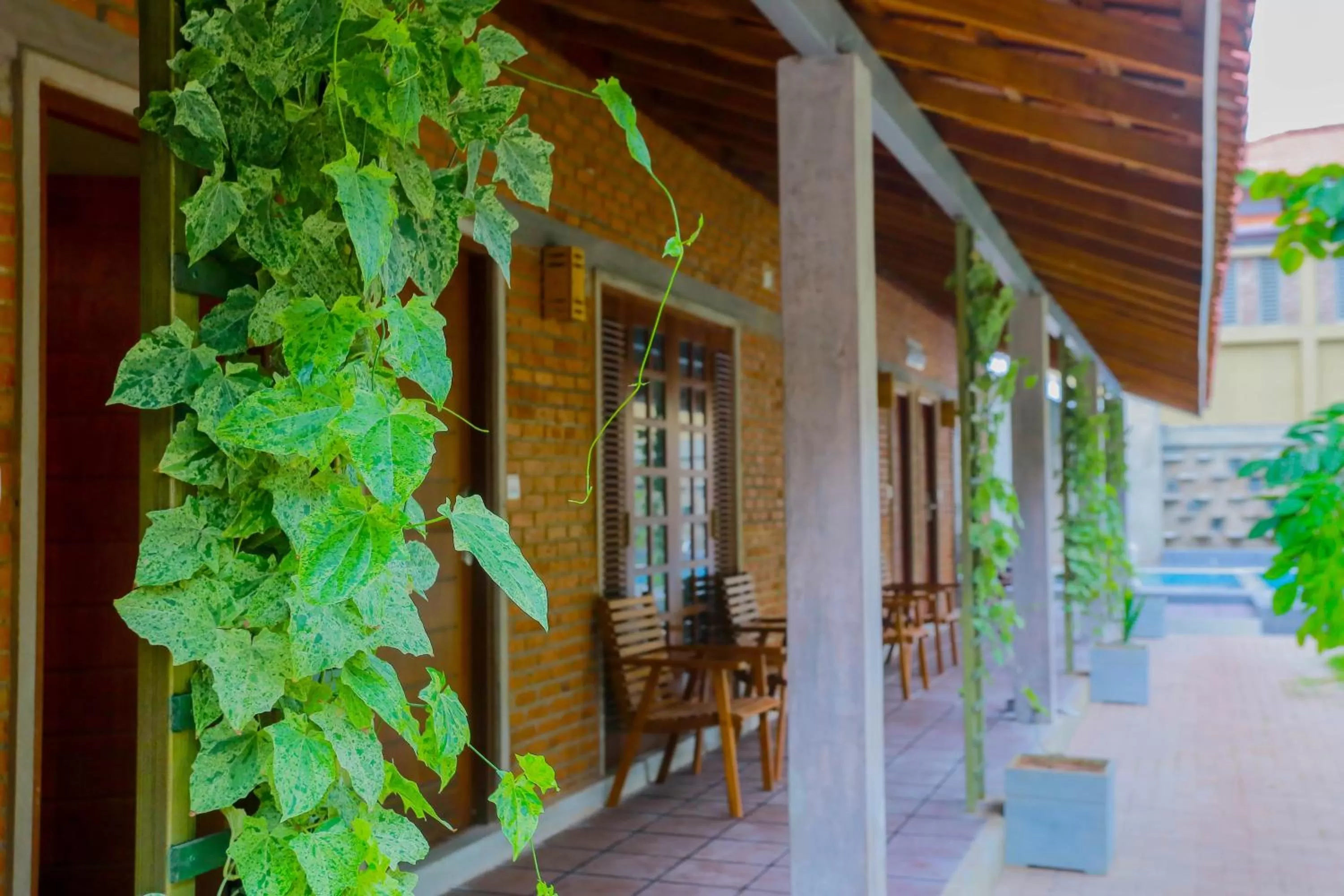 Balcony/Terrace in Olinia Airport Hotel