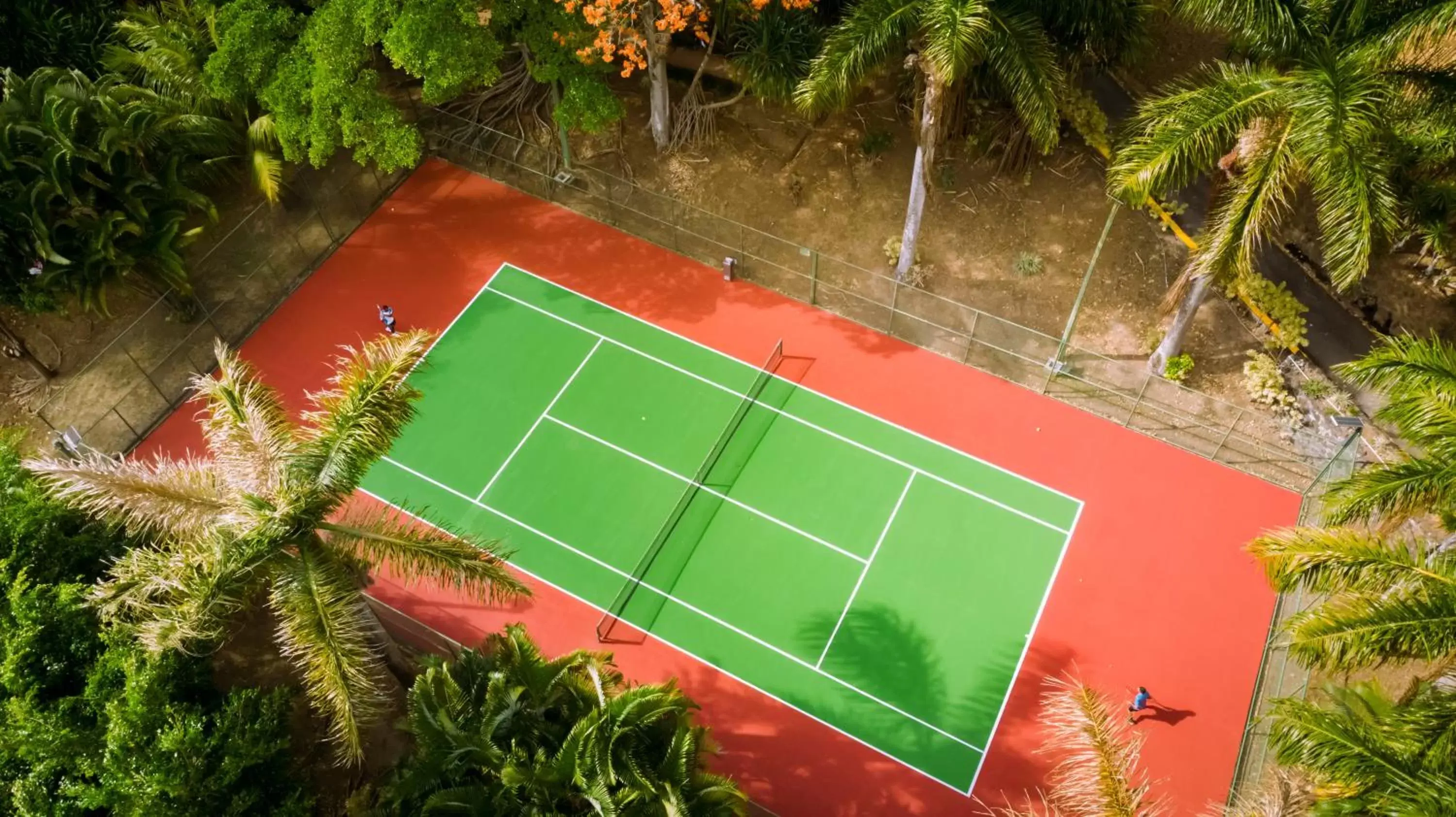 Day, Tennis/Squash in Barceló San José