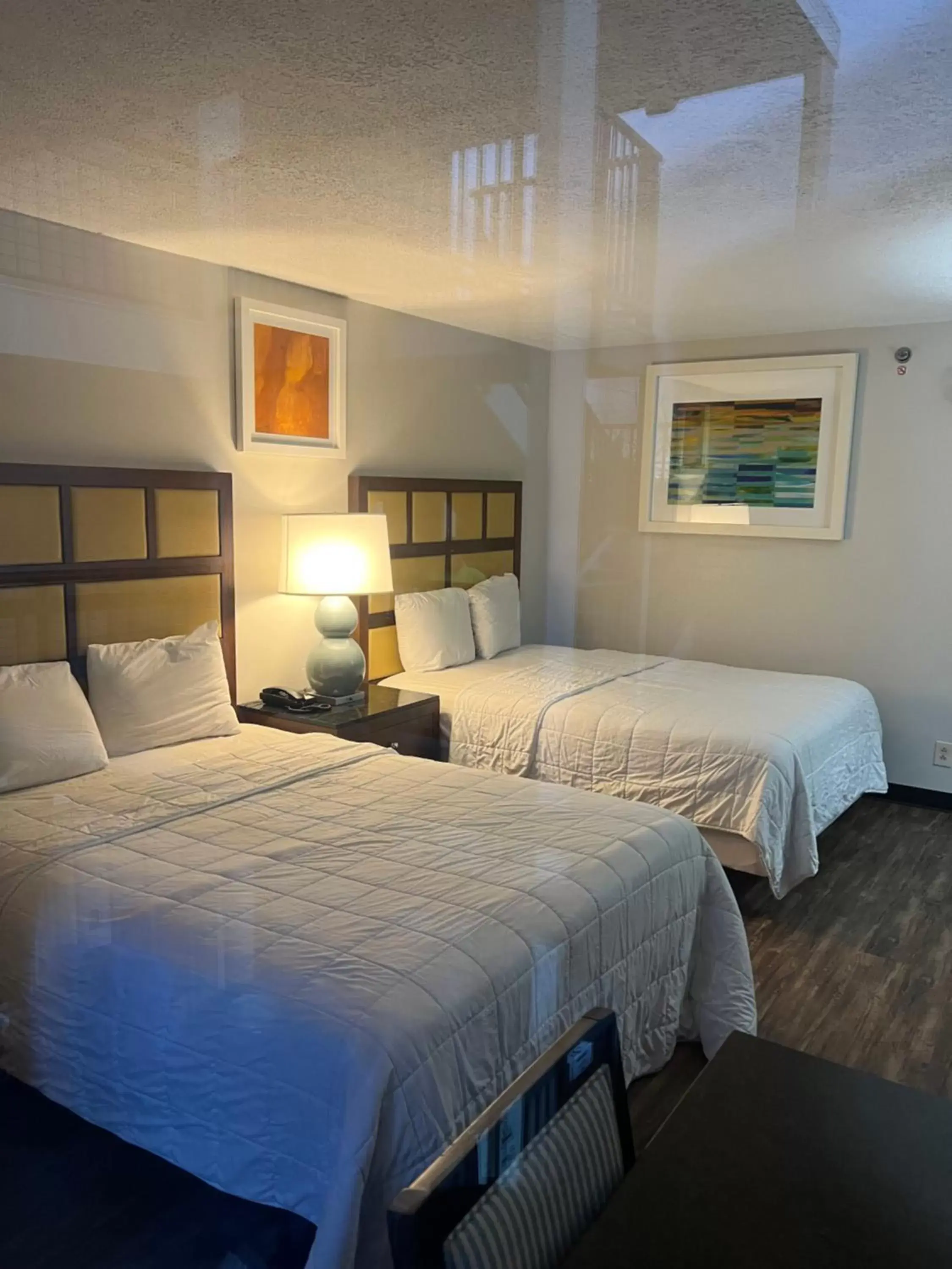 Bed in Baymont Inn and Suites by Wyndham Columbus / Near OSU