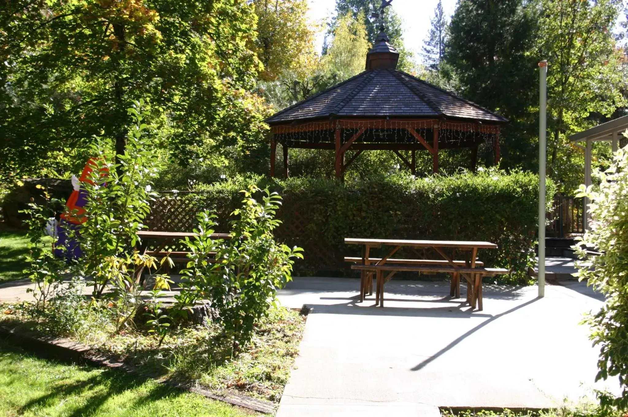 Garden in Nevada City Inn