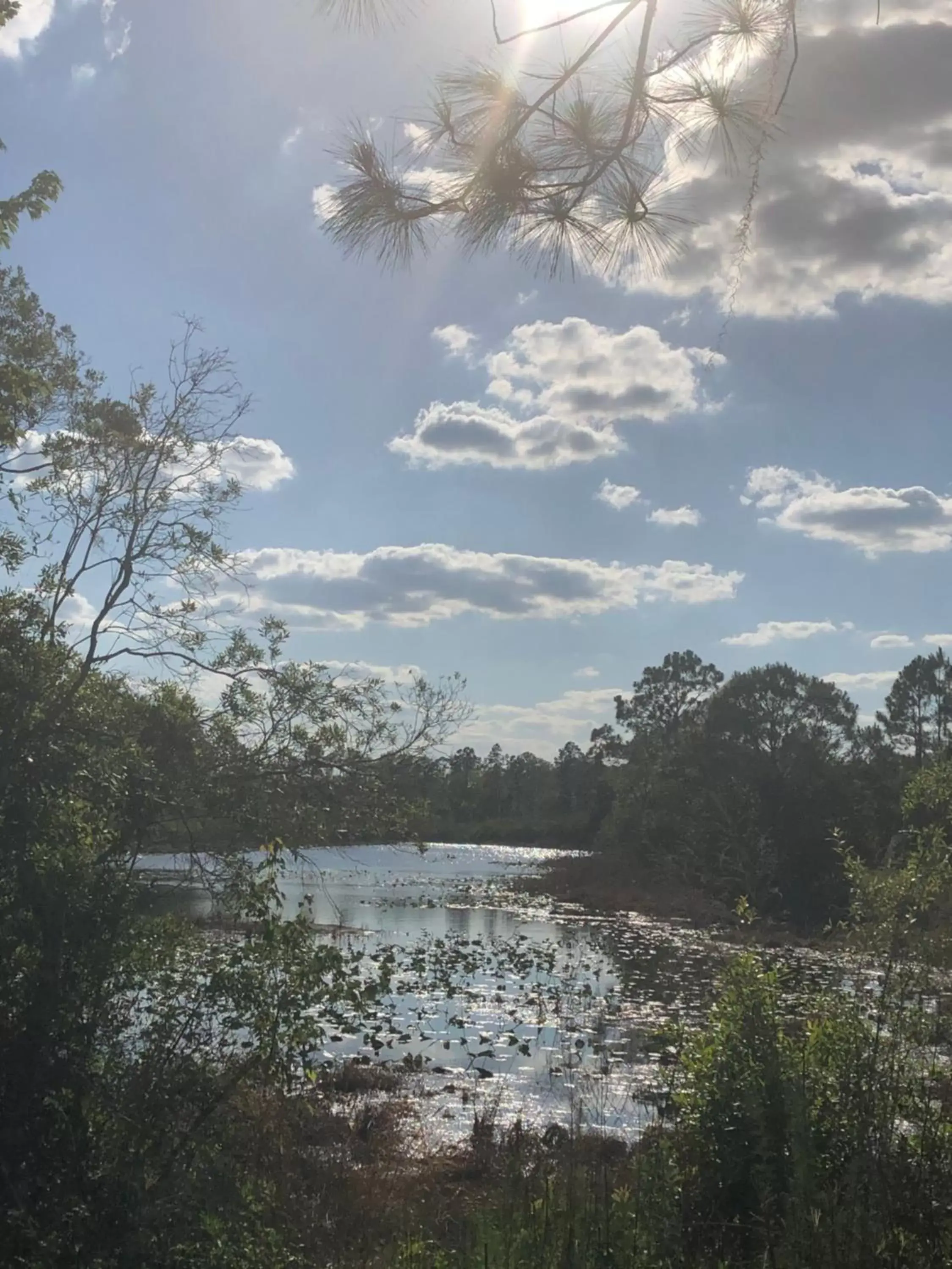 Natural landscape in Rae’s Place