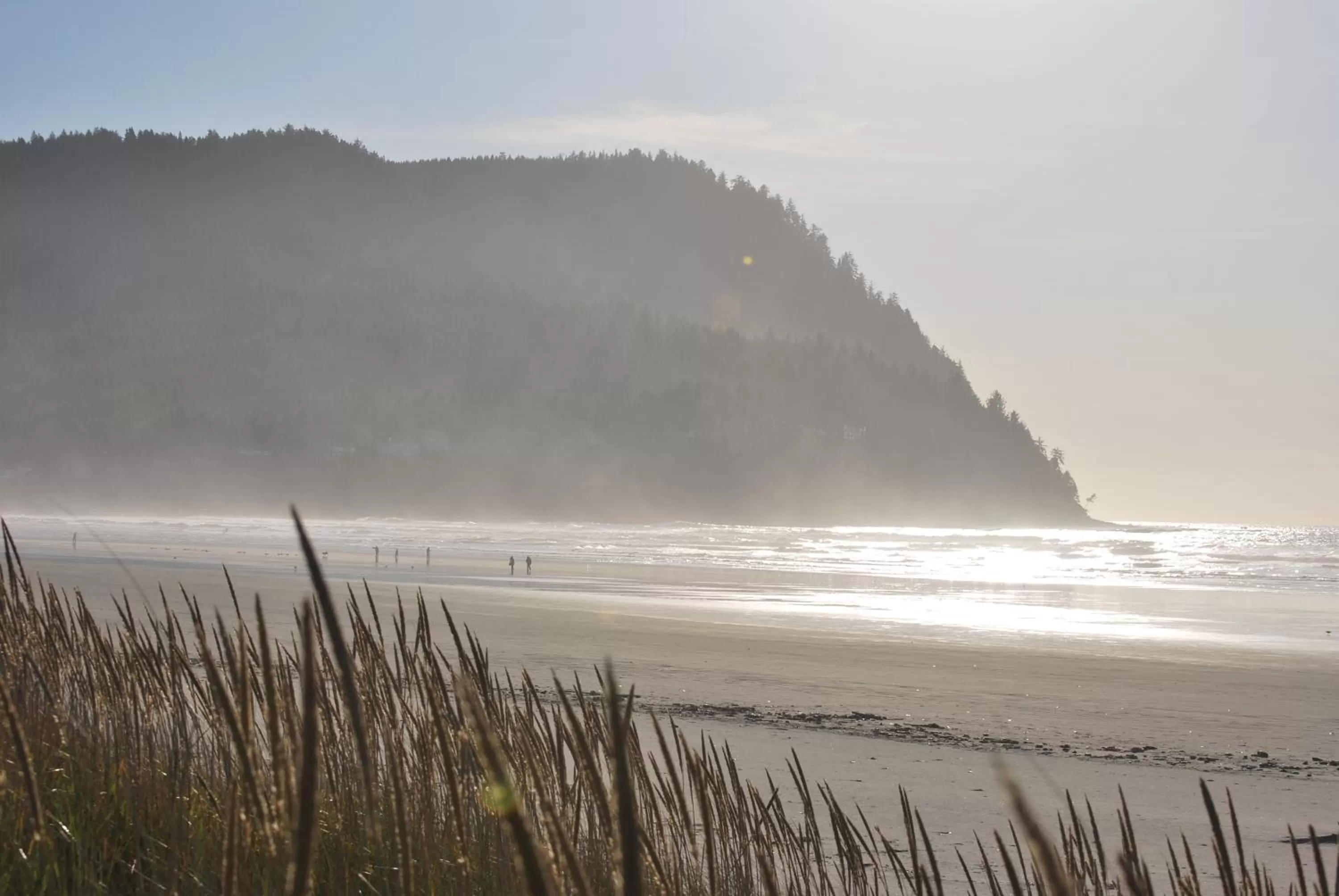 Area and facilities, Beach in Inn at the Shore