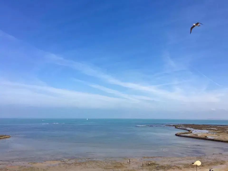 Sea view, Natural Landscape in Hotel La Española