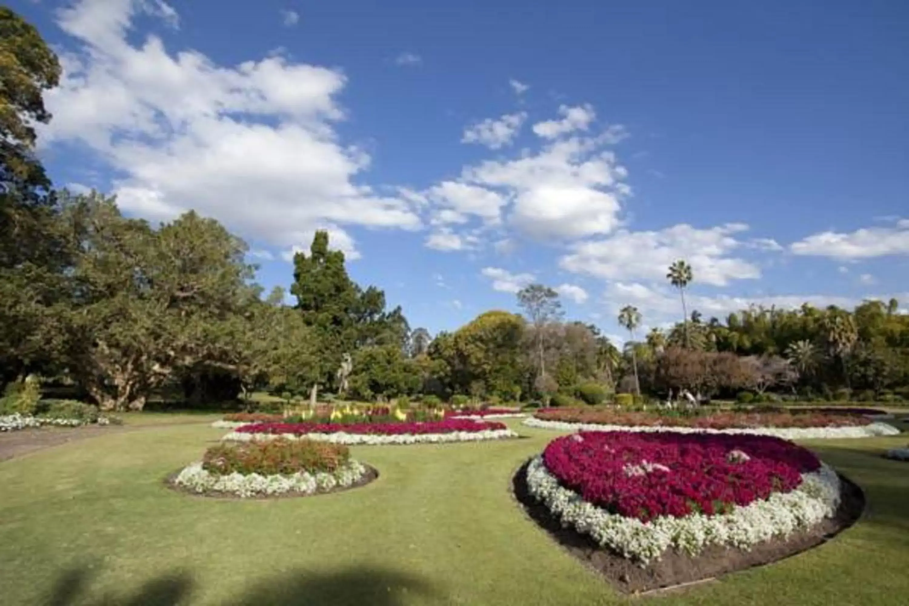 Nearby landmark, Garden in Link Portside Wharf Apartment Hotel