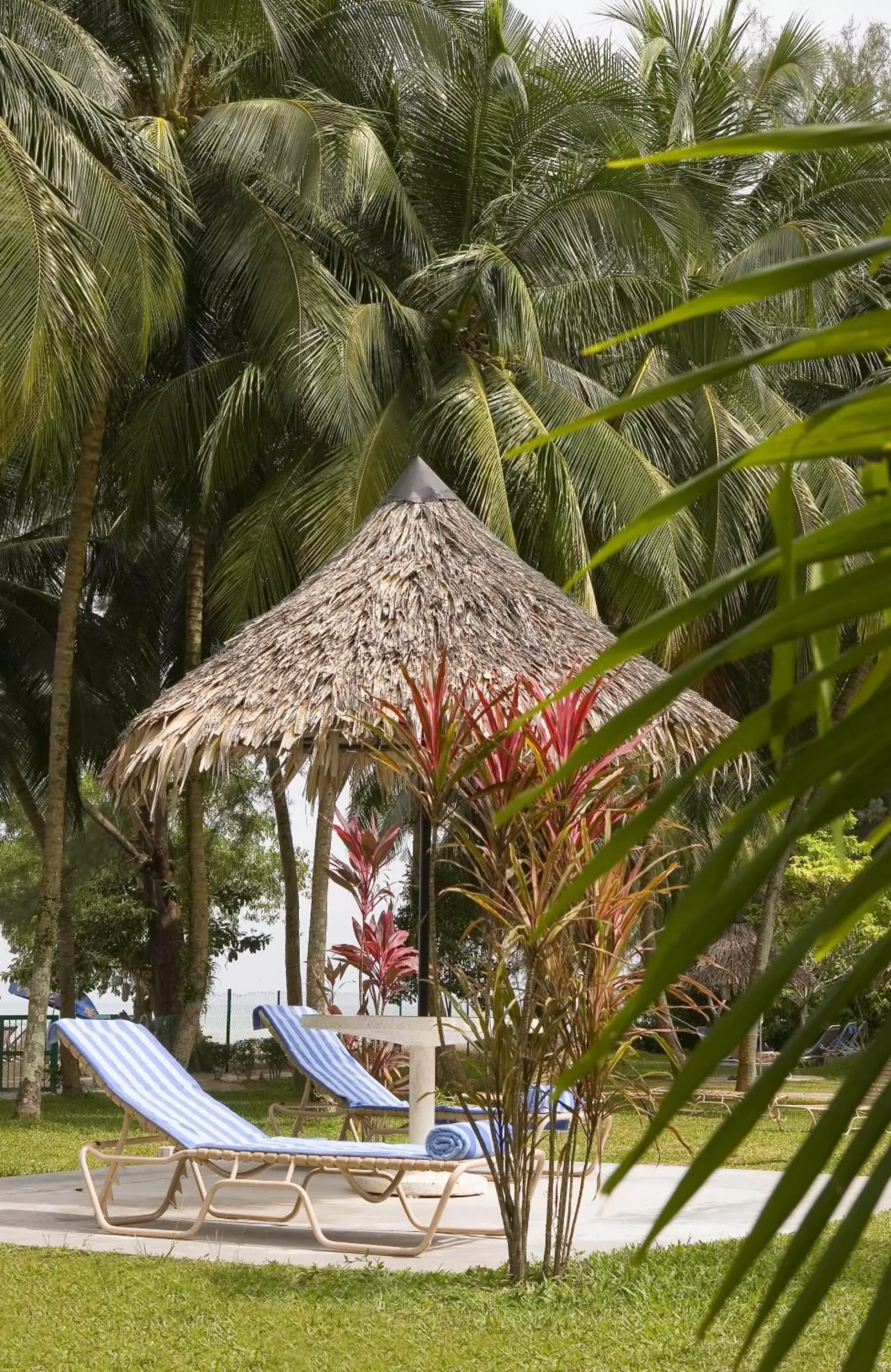 Garden in The Bayview Beach Resort