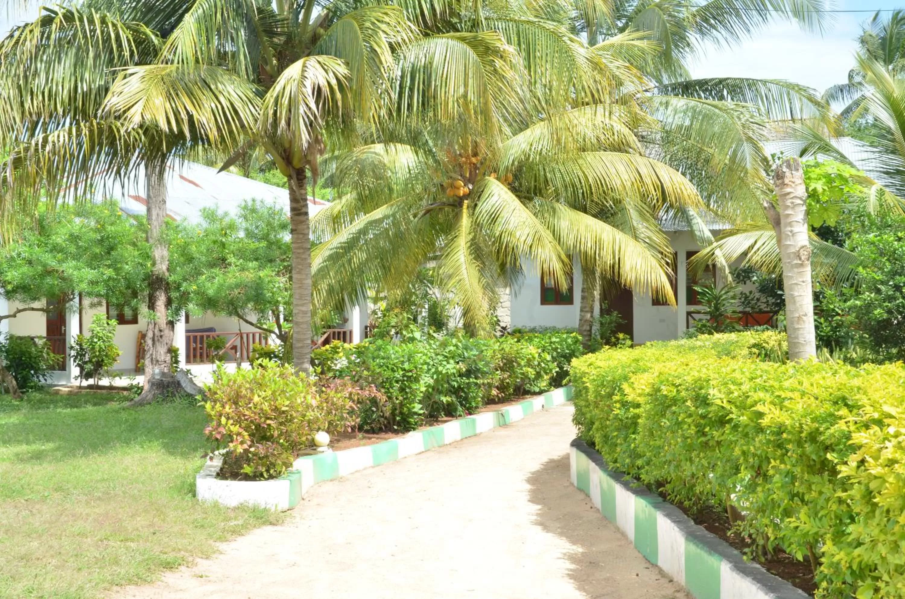 Garden in Bagamoyo Spice Villa