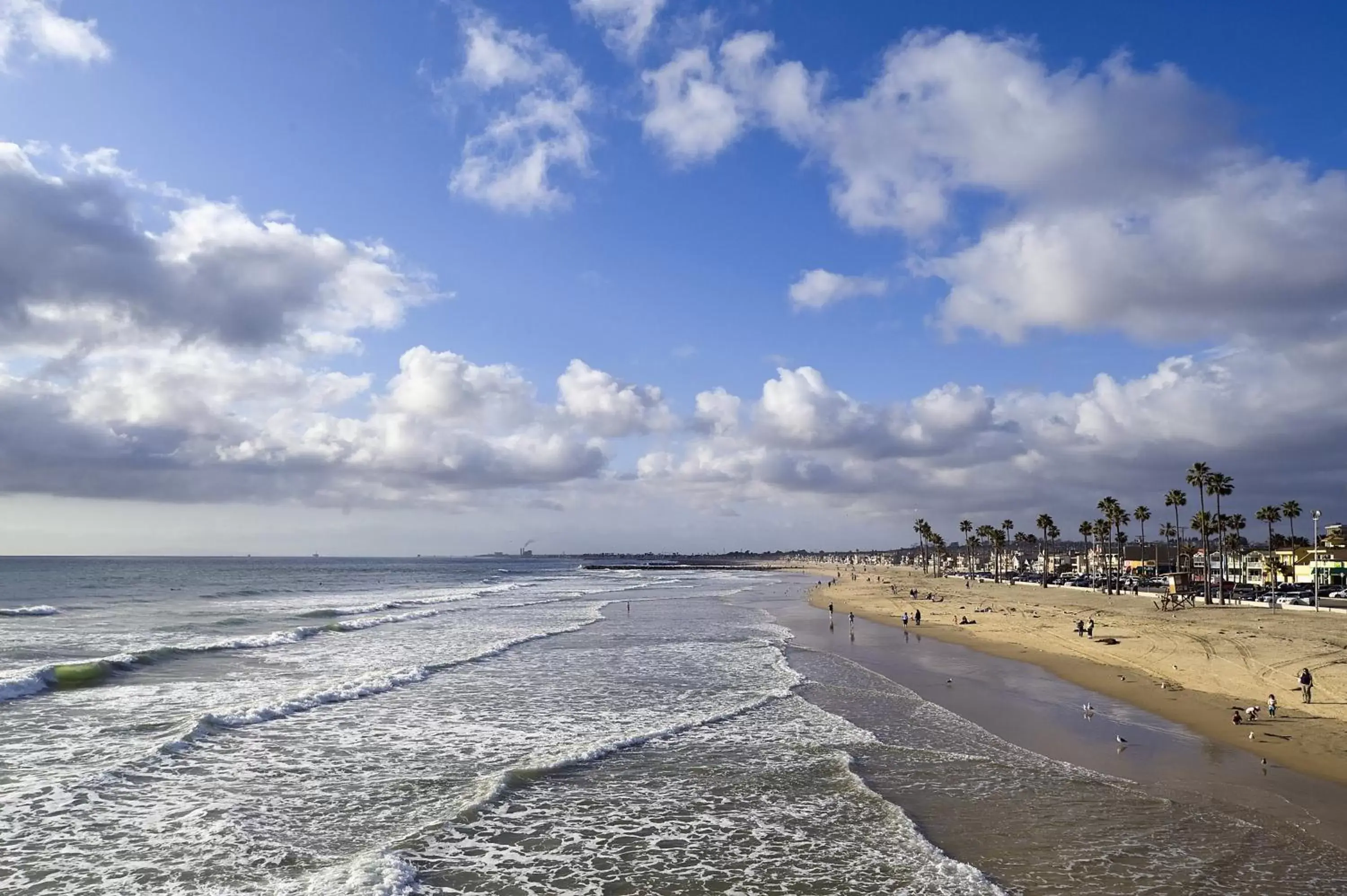 Area and facilities, Beach in Newport Beach Hotel