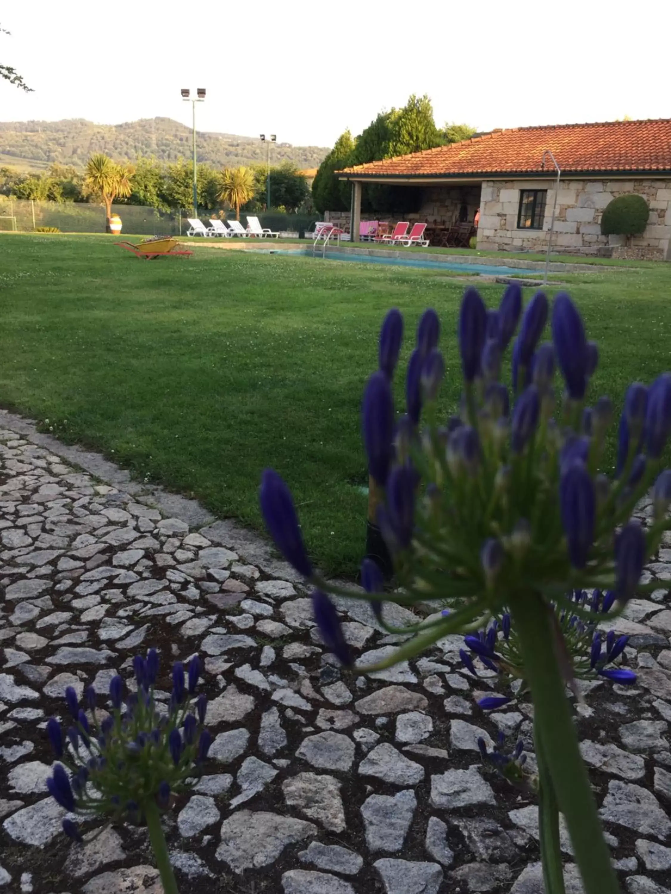 Property Building in Quinta da Vinha Morta