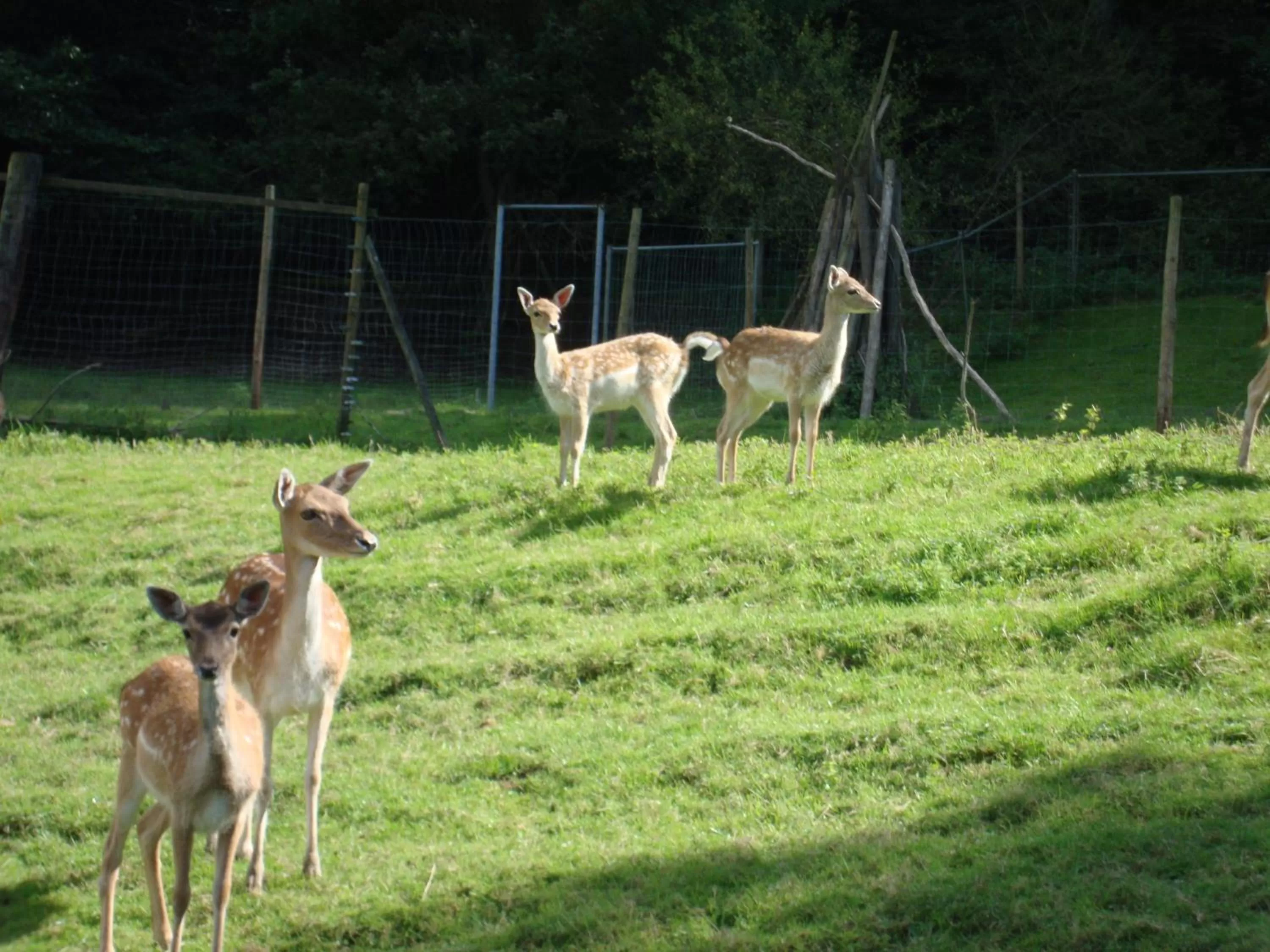 Day in Hotel Restaurant Paradeismühle
