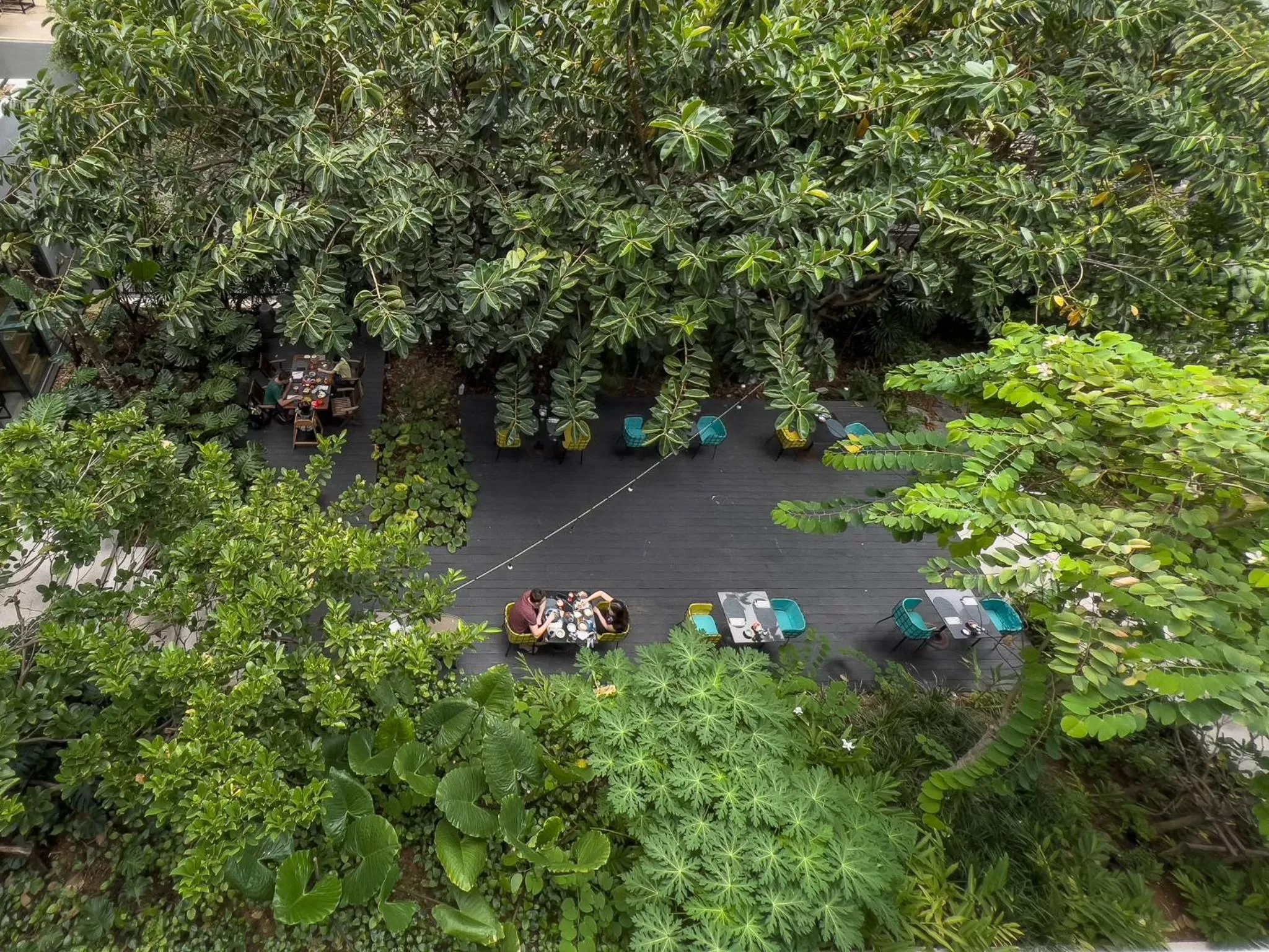 Garden in Hotel Indigo Phuket Patong by IHG