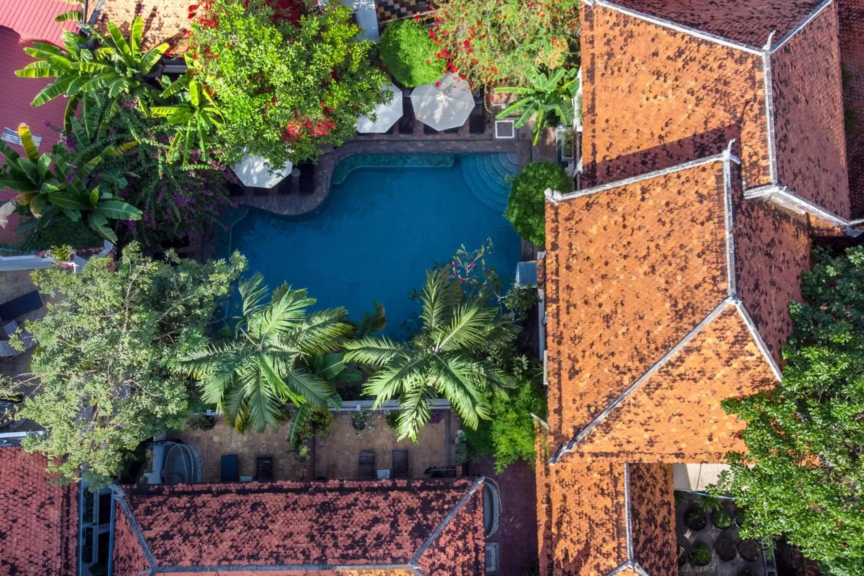 Swimming pool, Bird's-eye View in Rambutan Resort – Siem Reap