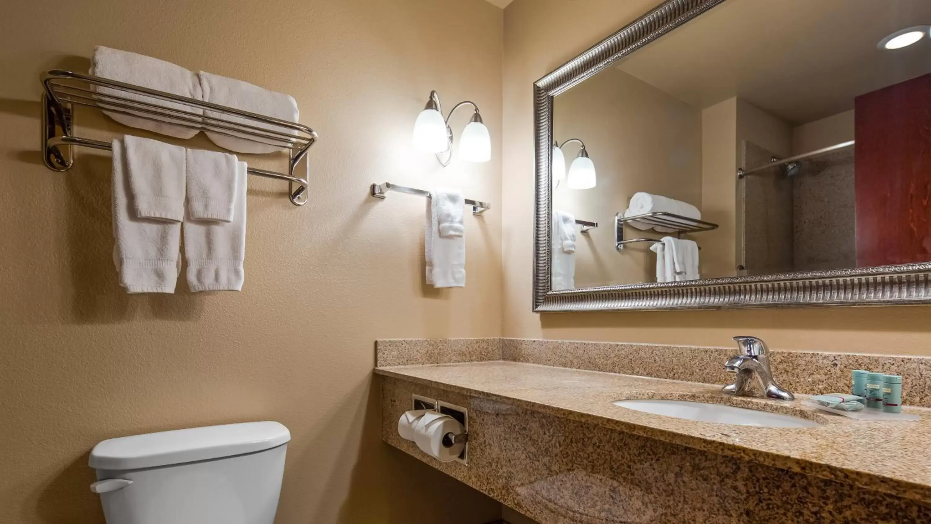 Bathroom in Best Western Shelby Inn & Suites
