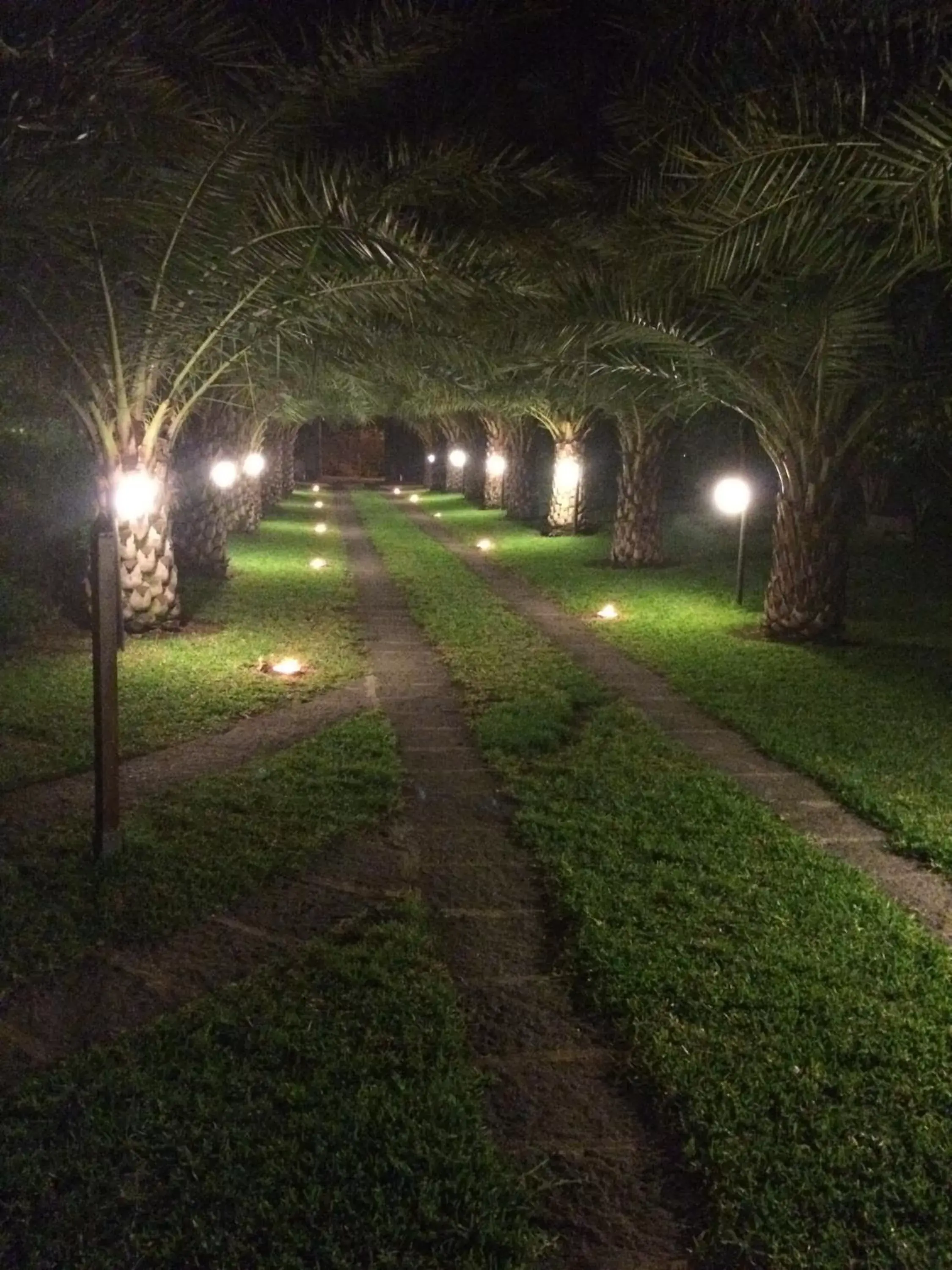 Garden in Torre Archirafi Resort