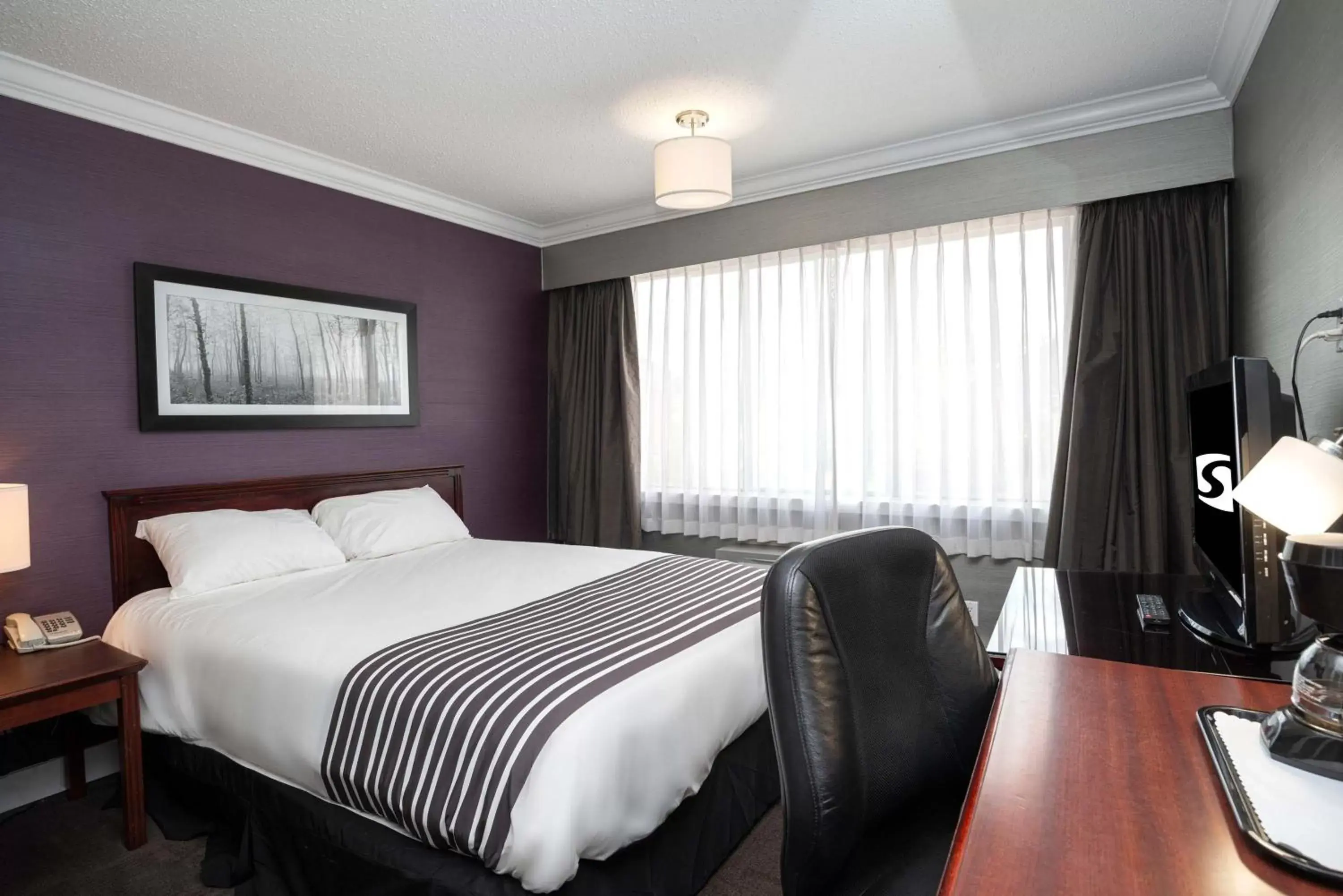 Photo of the whole room, Bed in Sandman Hotel & Suites Williams Lake Photo of the whole room, Bed in Sandman Hotel & Suites Williams Lake