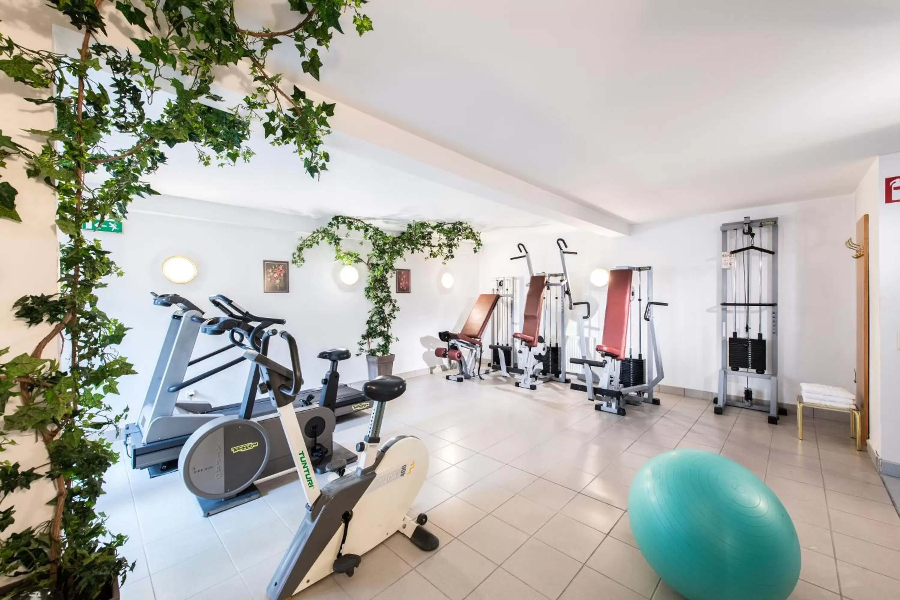 Fitness centre/facilities, Fitness Center/Facilities in Parkhotel zur Klause