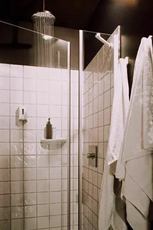 Shower, Bathroom in Room007 Ventura Hostel