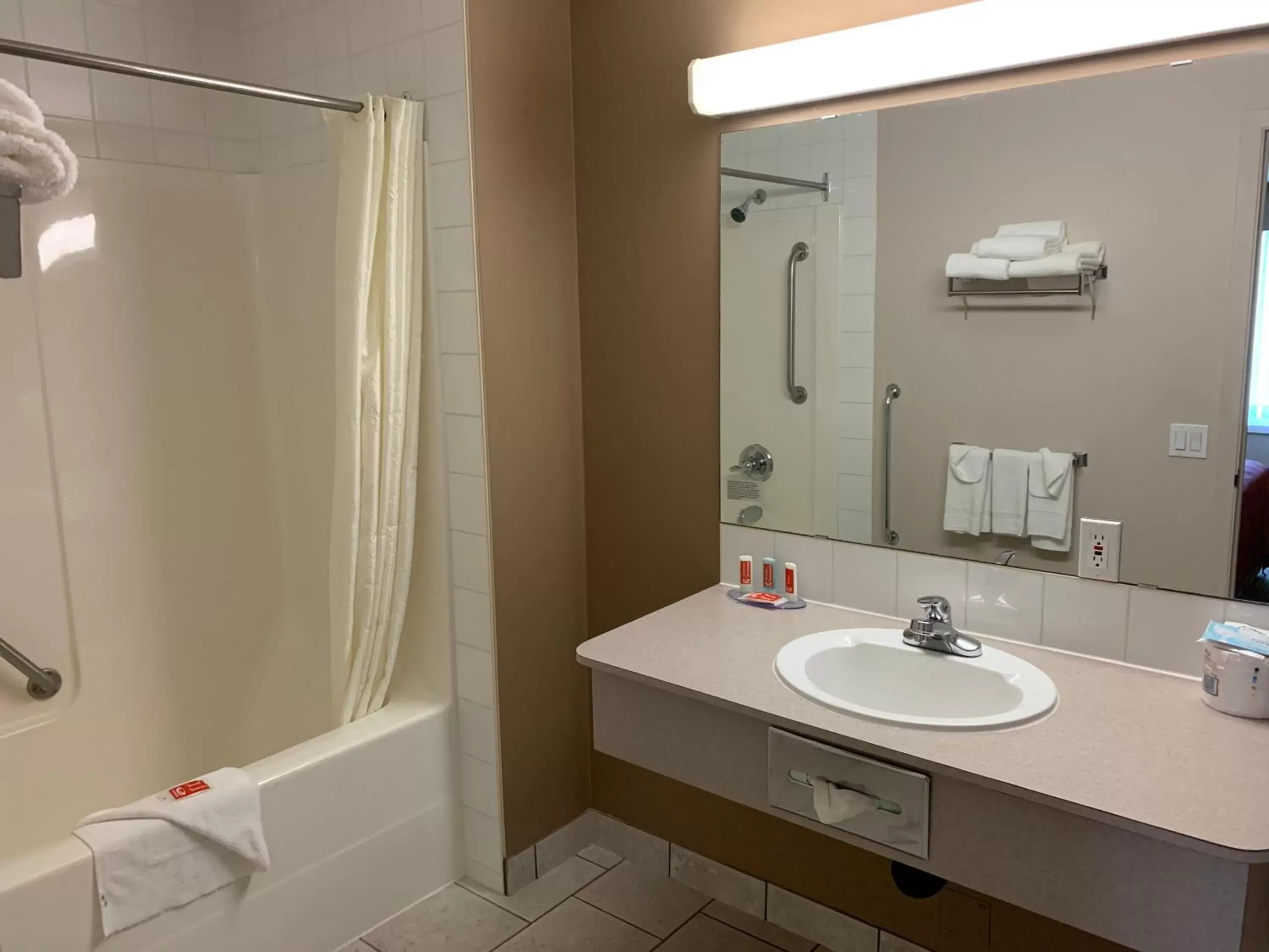 Bathroom in Econo Lodge Inn and Suites Lethbridge