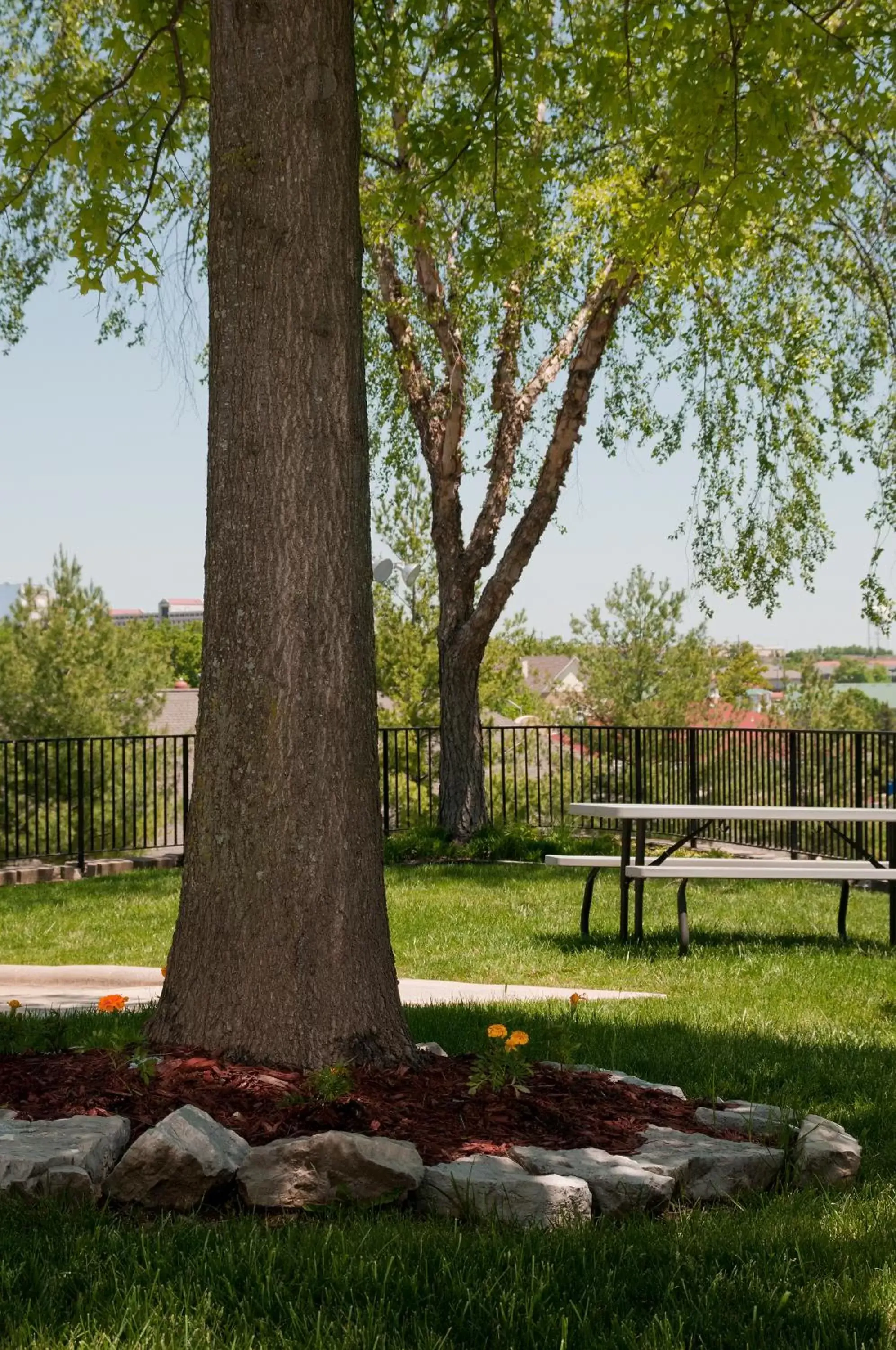 Day, Garden in The Stone Castle Hotel & Conference Center