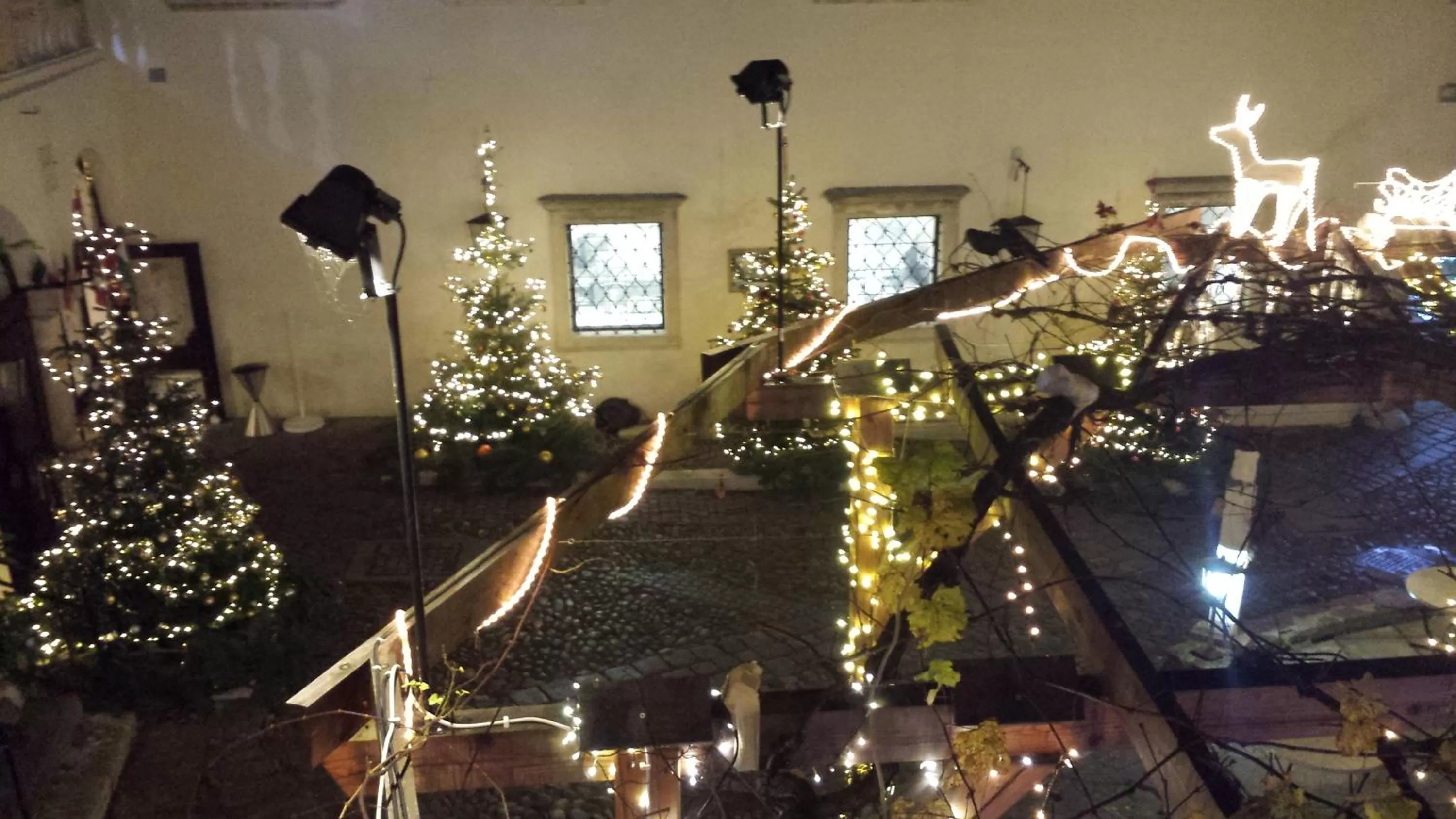 Restaurant/places to eat in Minihotel Graz