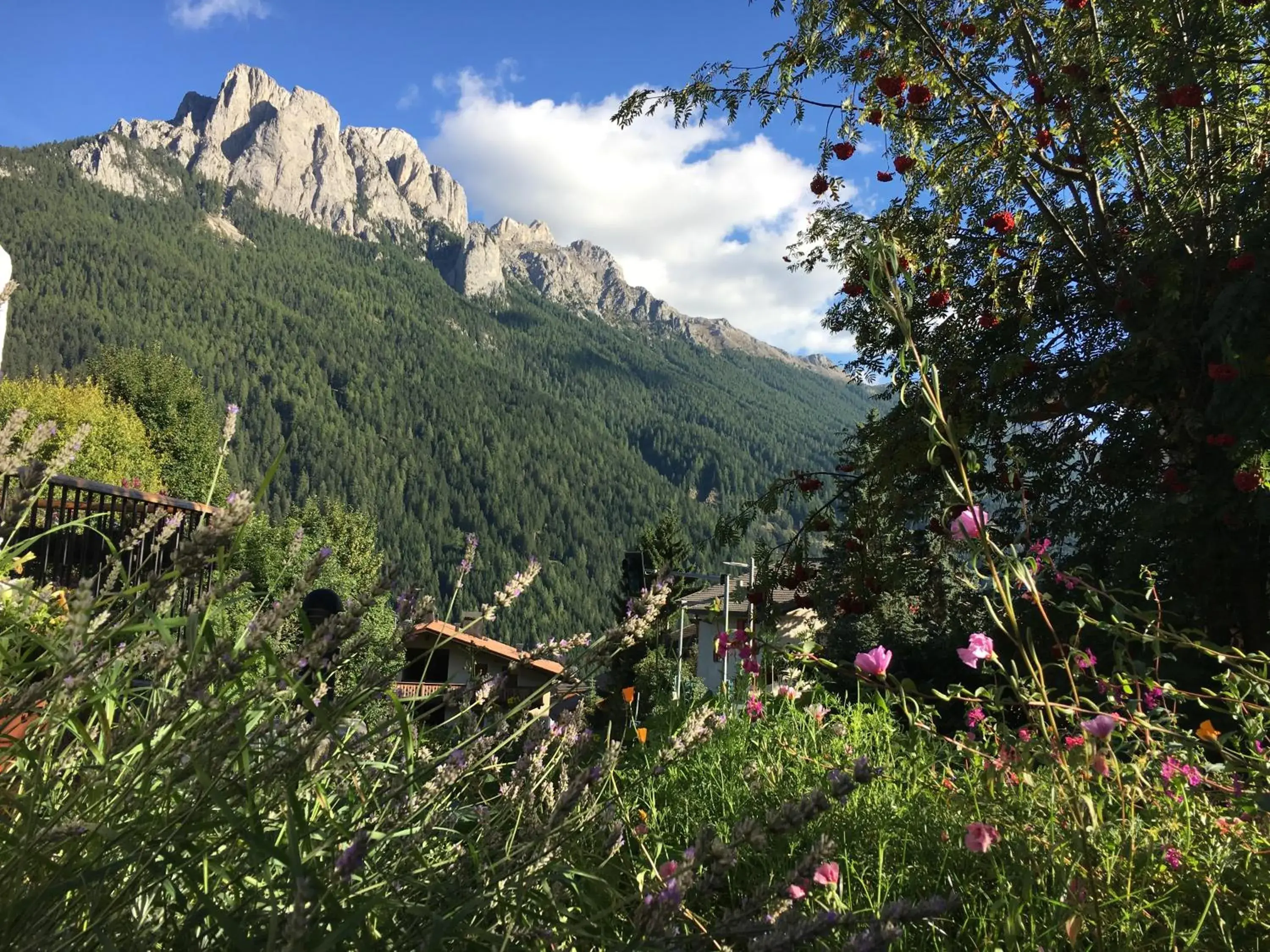 Garden view, Natural Landscape in Garni Enrosadira