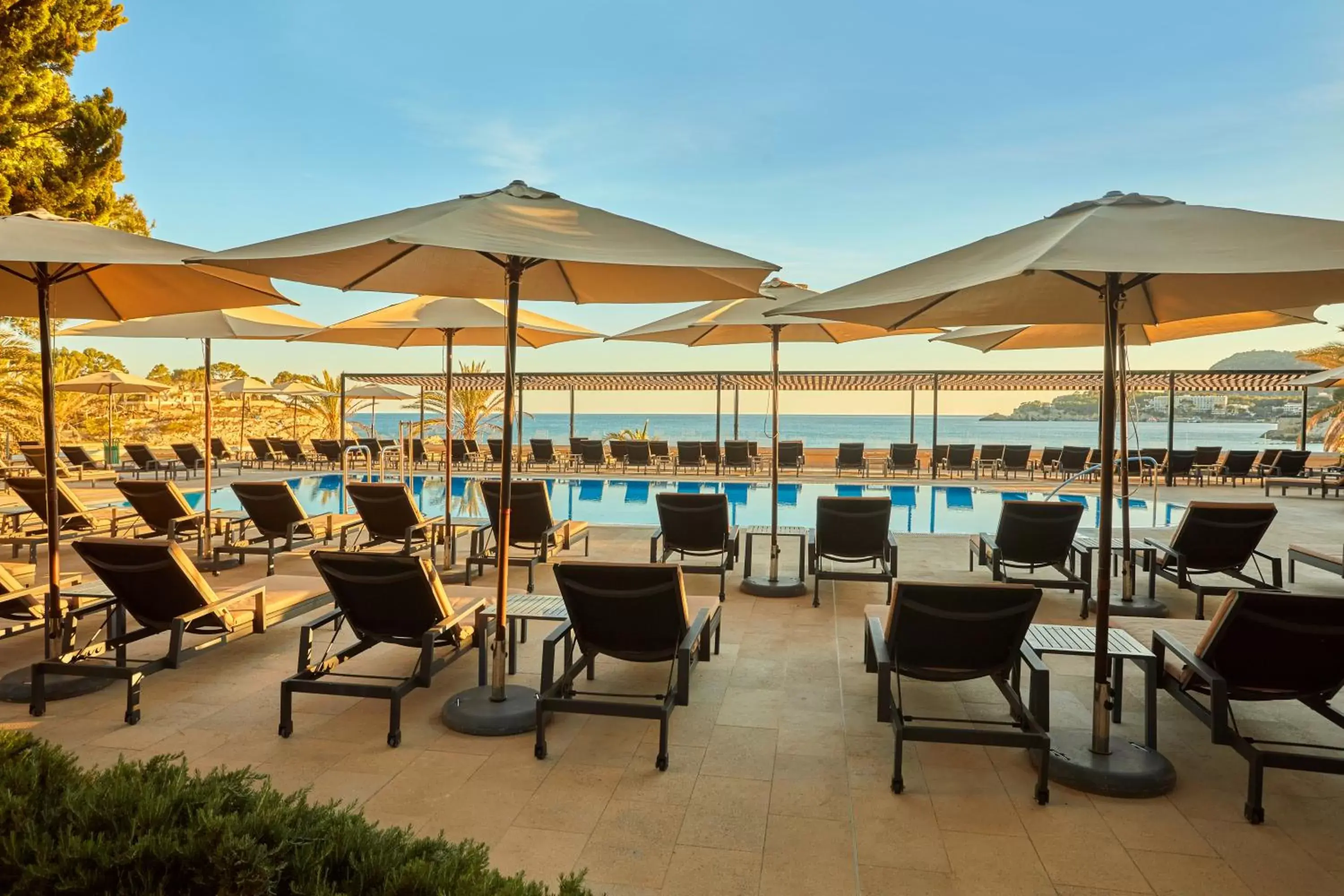 Solarium, Swimming Pool in Secrets Mallorca Villamil Resort & Spa - Adults Only (+18)