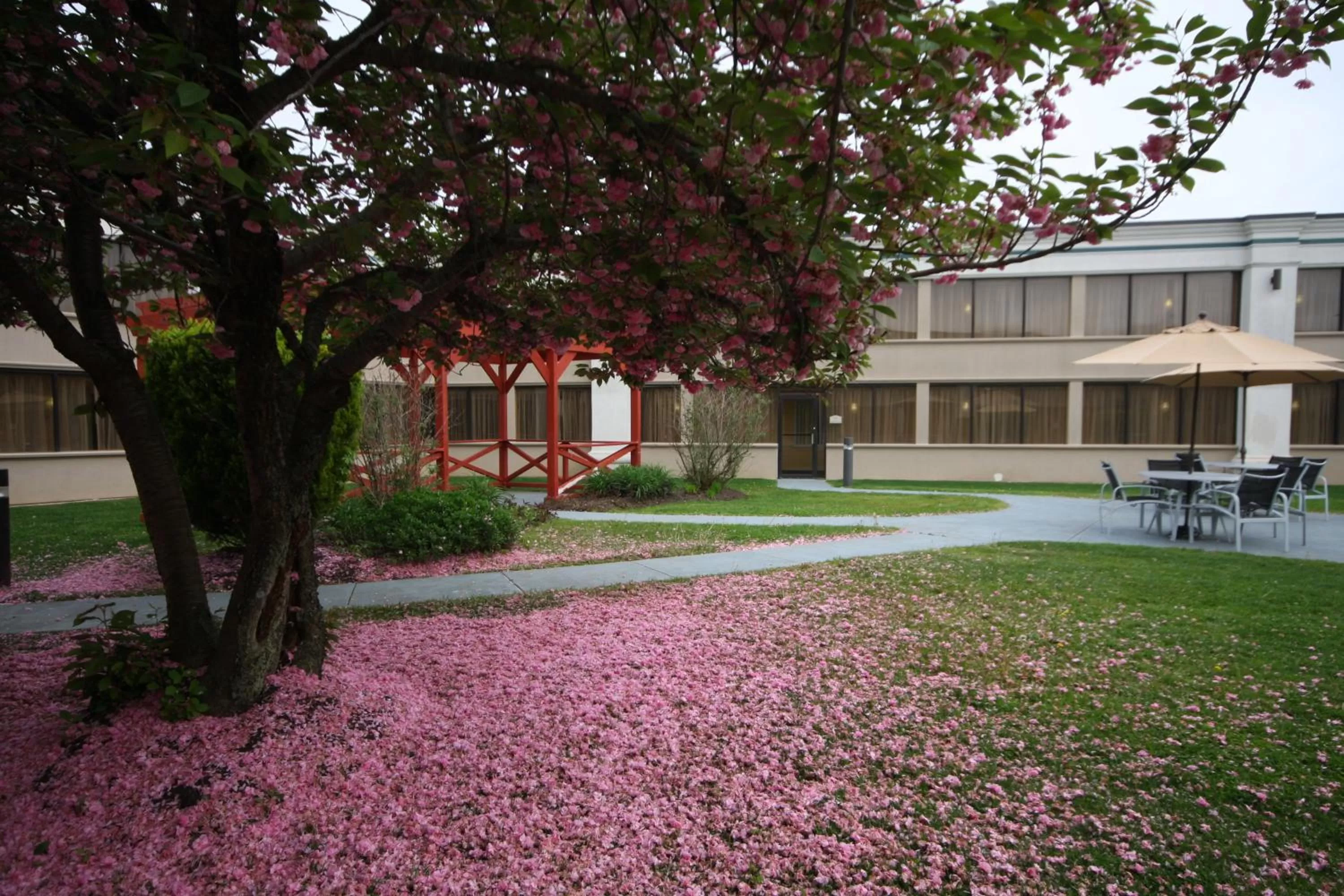 Other in Holiday Inn Hazlet by IHG