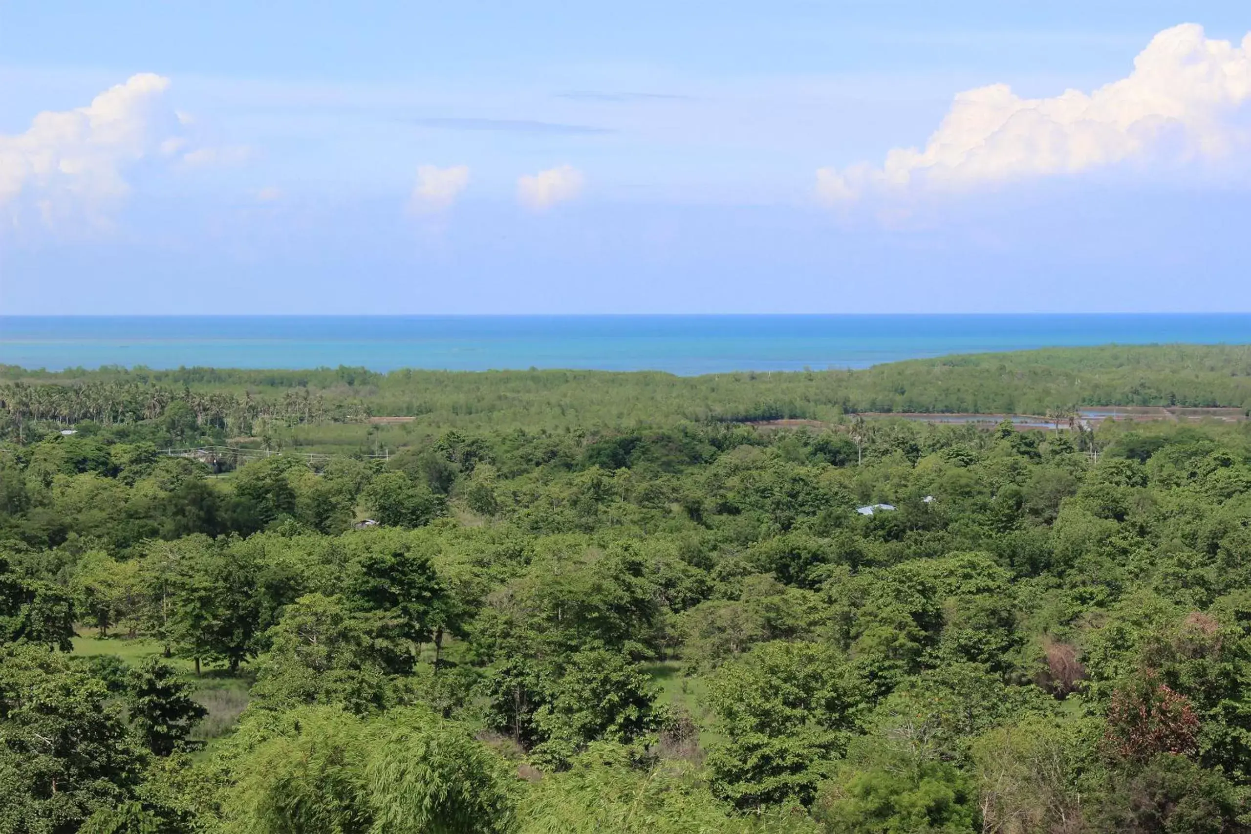 Sea view, Natural Landscape in Panja Resort Palawan