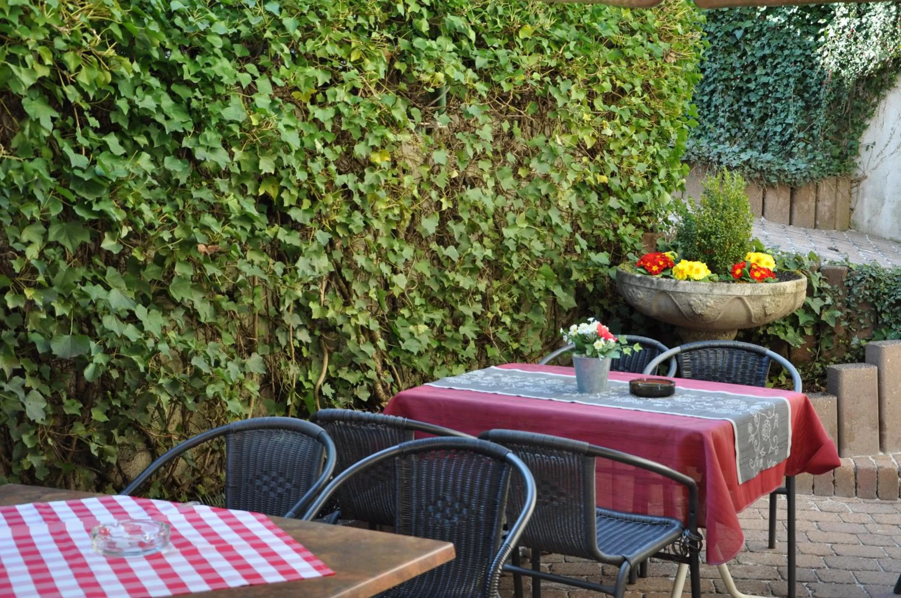 Restaurant/places to eat in Hotel Restaurant Zum Schwan