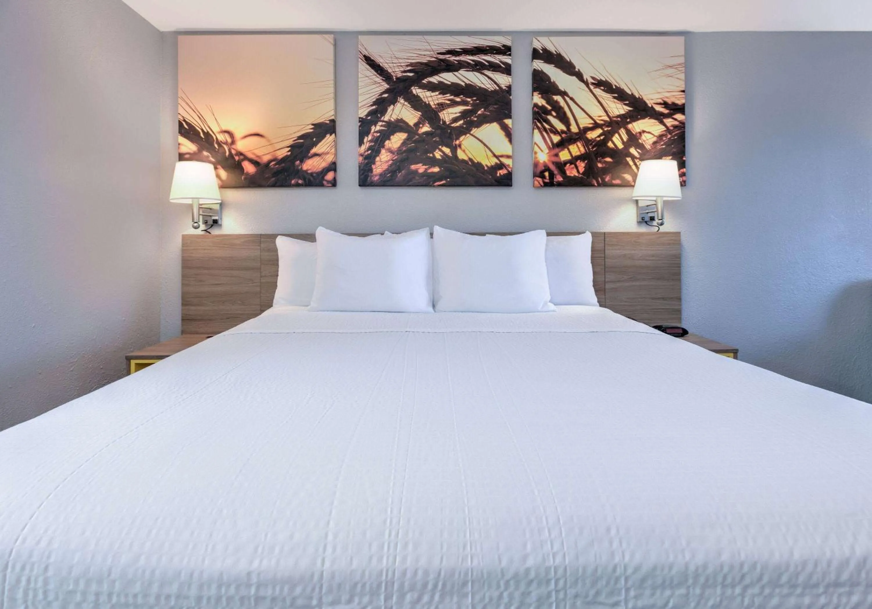 Photo of the whole room, Bed in Days Inn by Wyndham Greenville MS