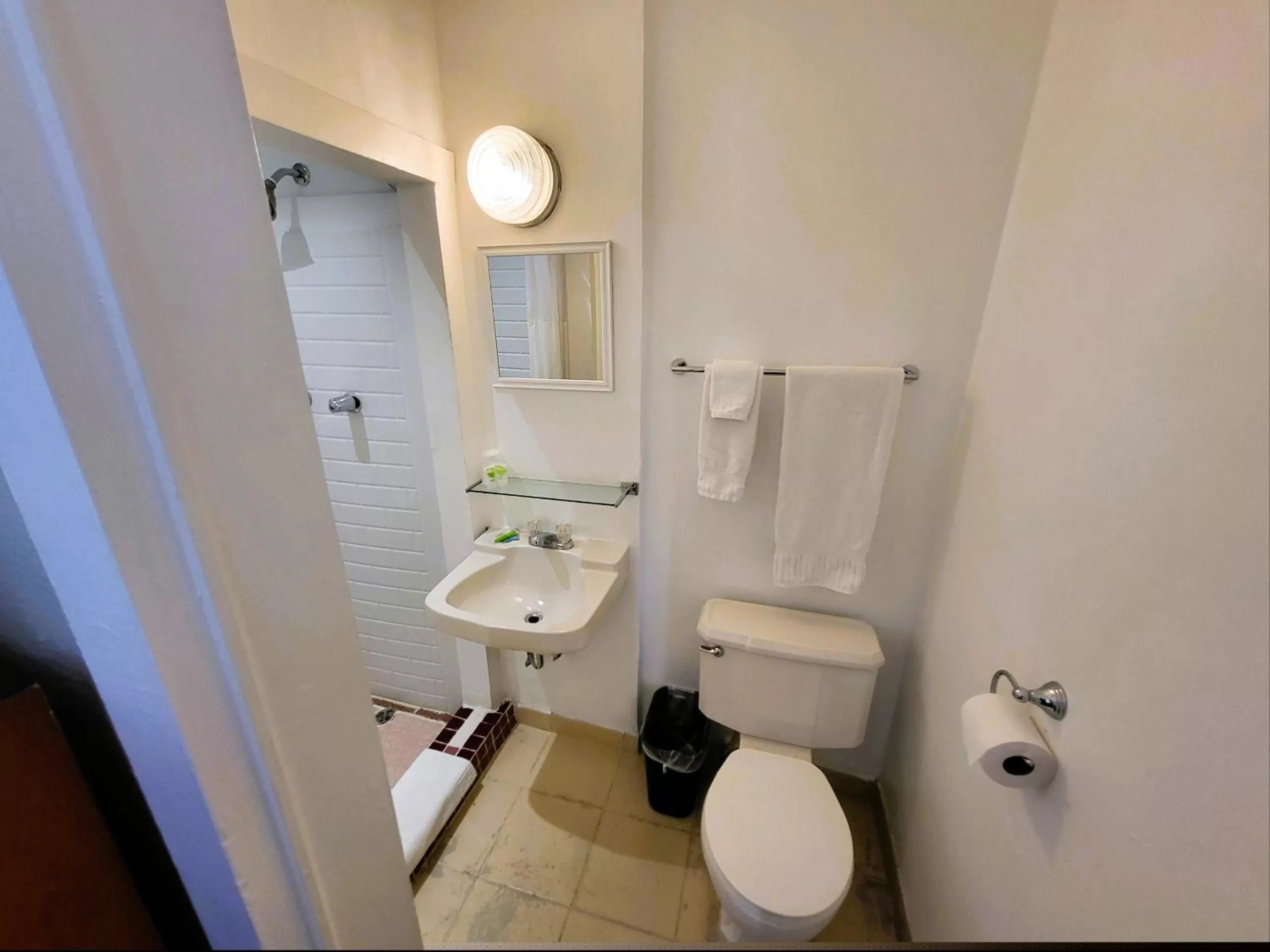 Shower in Rose's Motel