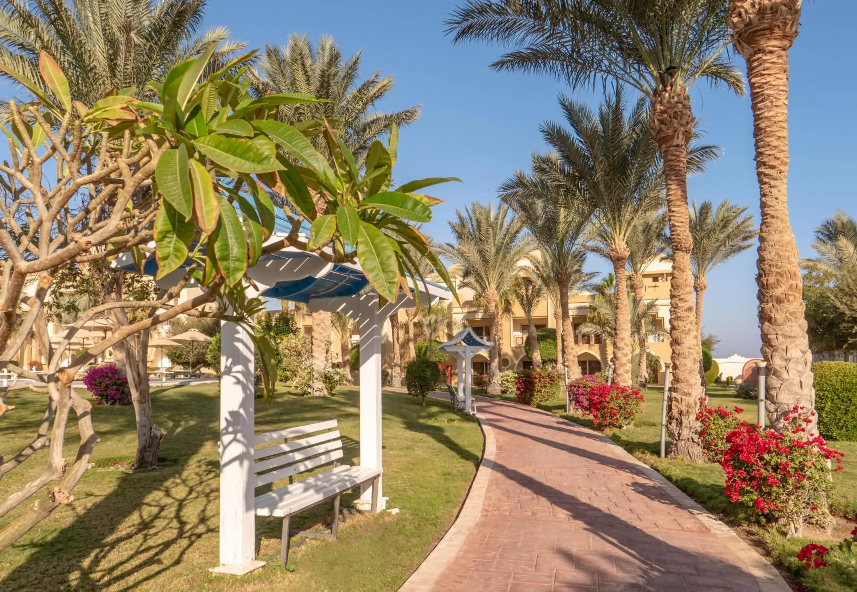 Garden in Serenity Makadi Beach