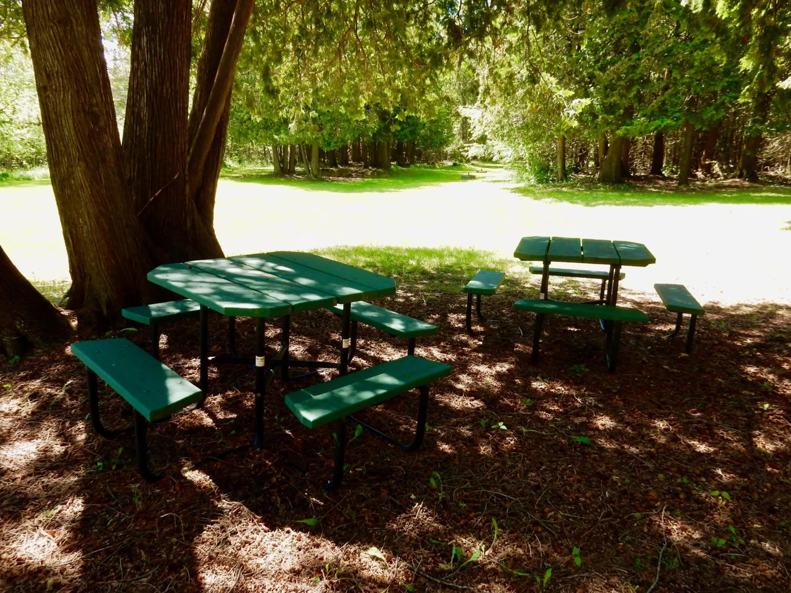 BBQ facilities in Garden Grove Retreat & Lodging near Pictured Rocks, Fayette, Trails
