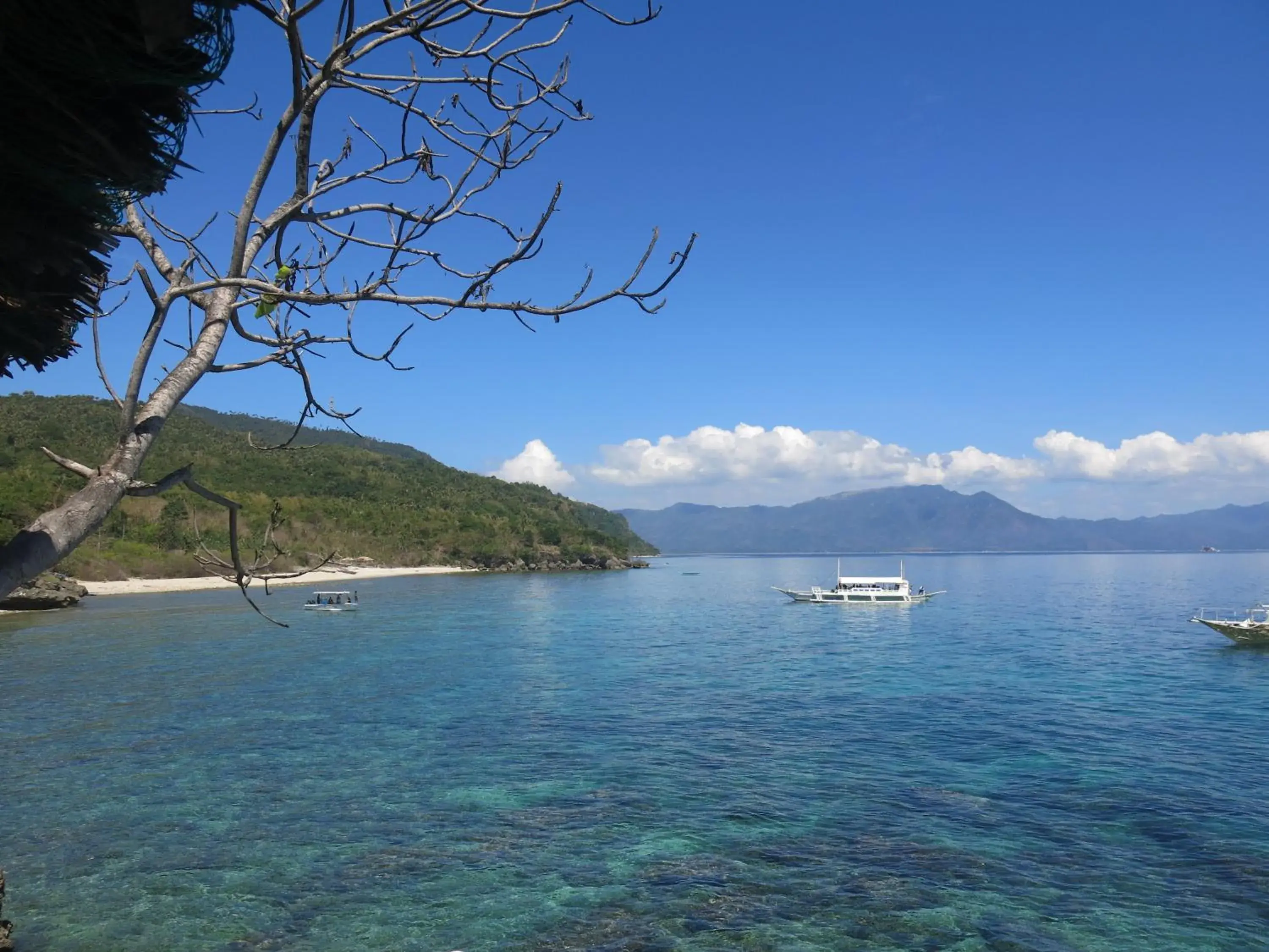 Snorkeling in Badladz Beach and Dive Resort