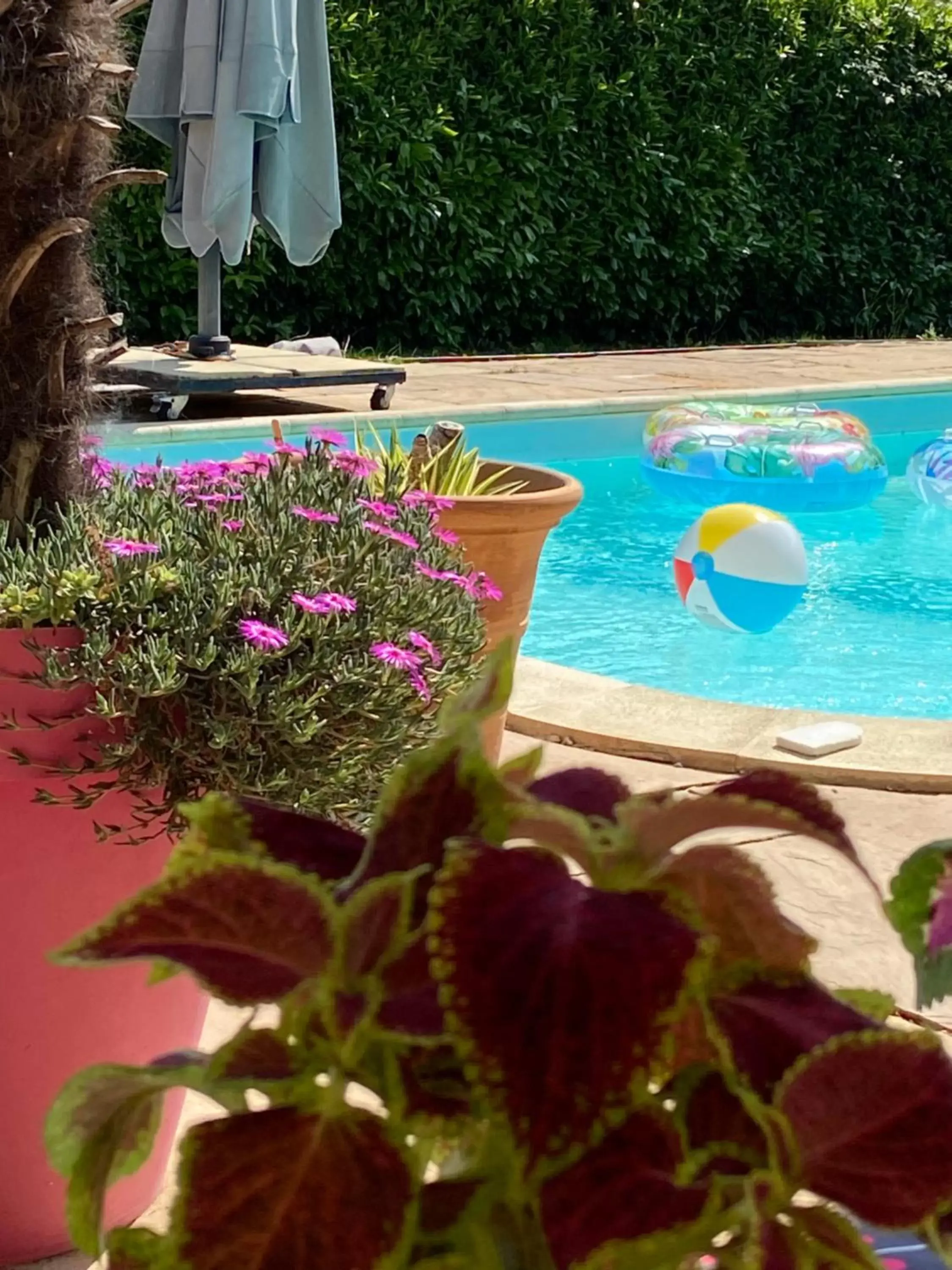 Day, Swimming Pool in Chambres dans villa avec piscine