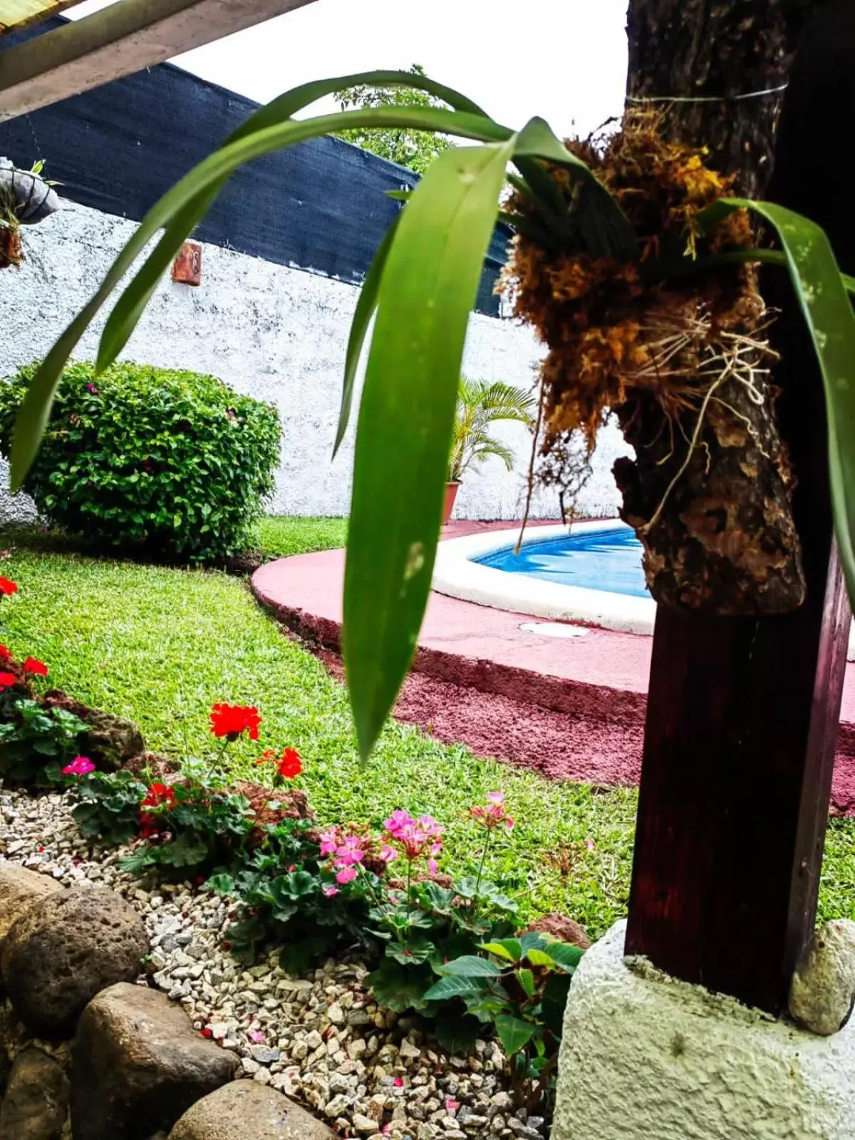 Swimming pool in Hotel Casa Tago