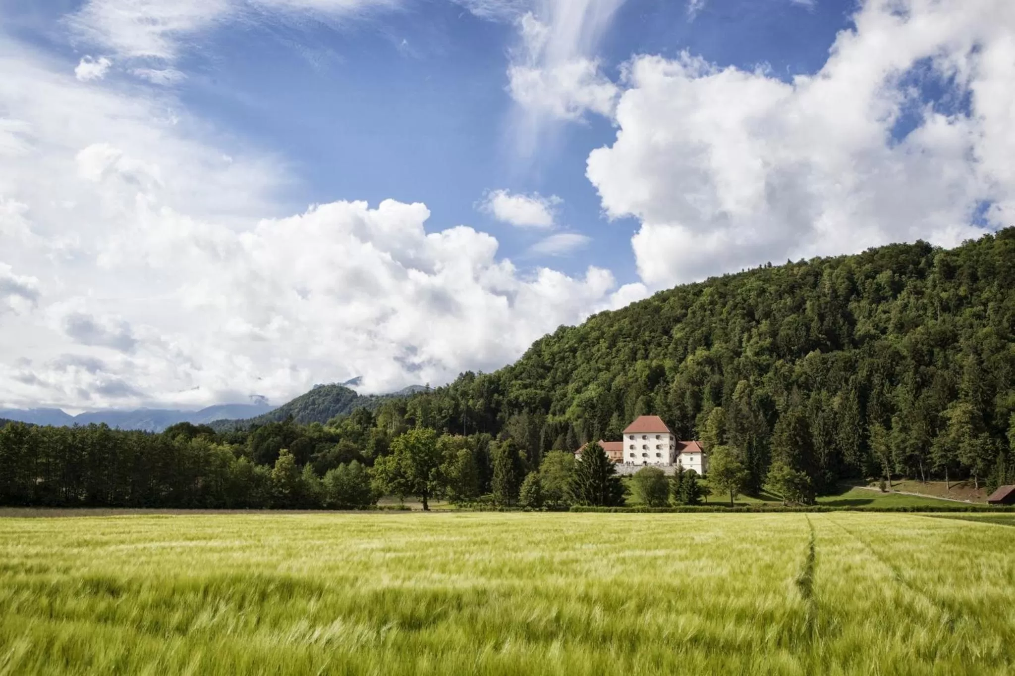 Facade/entrance in Grad Strmol