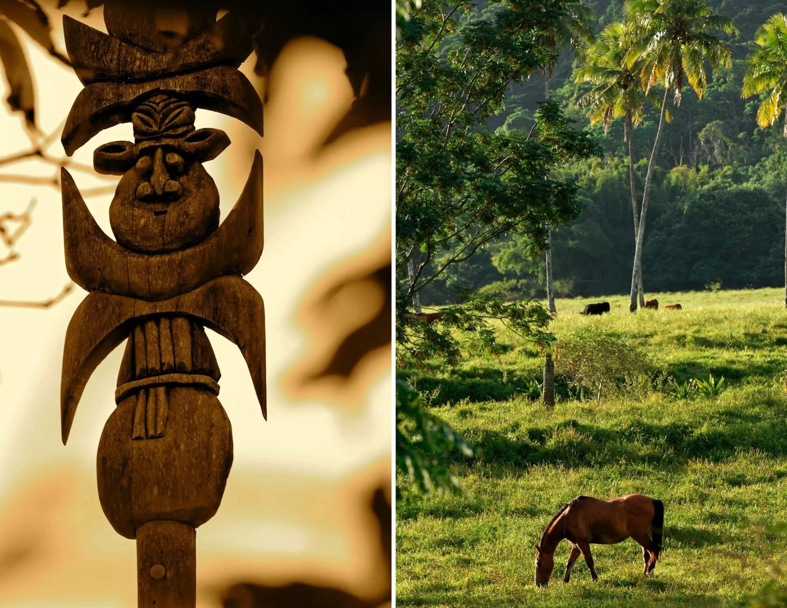 Facade/entrance in Hotel Koulnoue Village