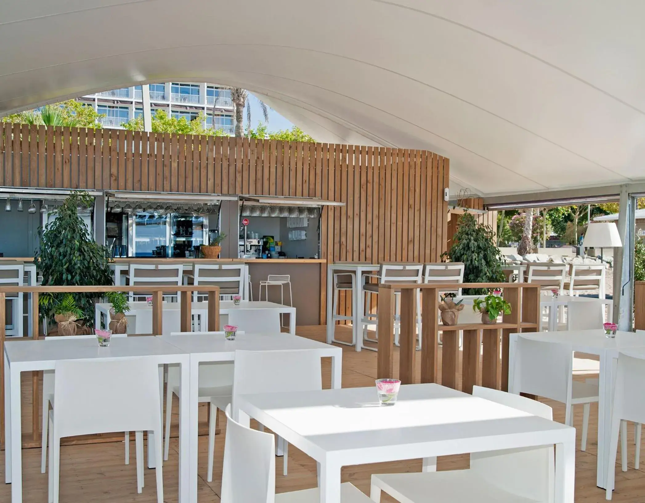 Restaurant/Places to Eat in Hotel Kaktus Playa